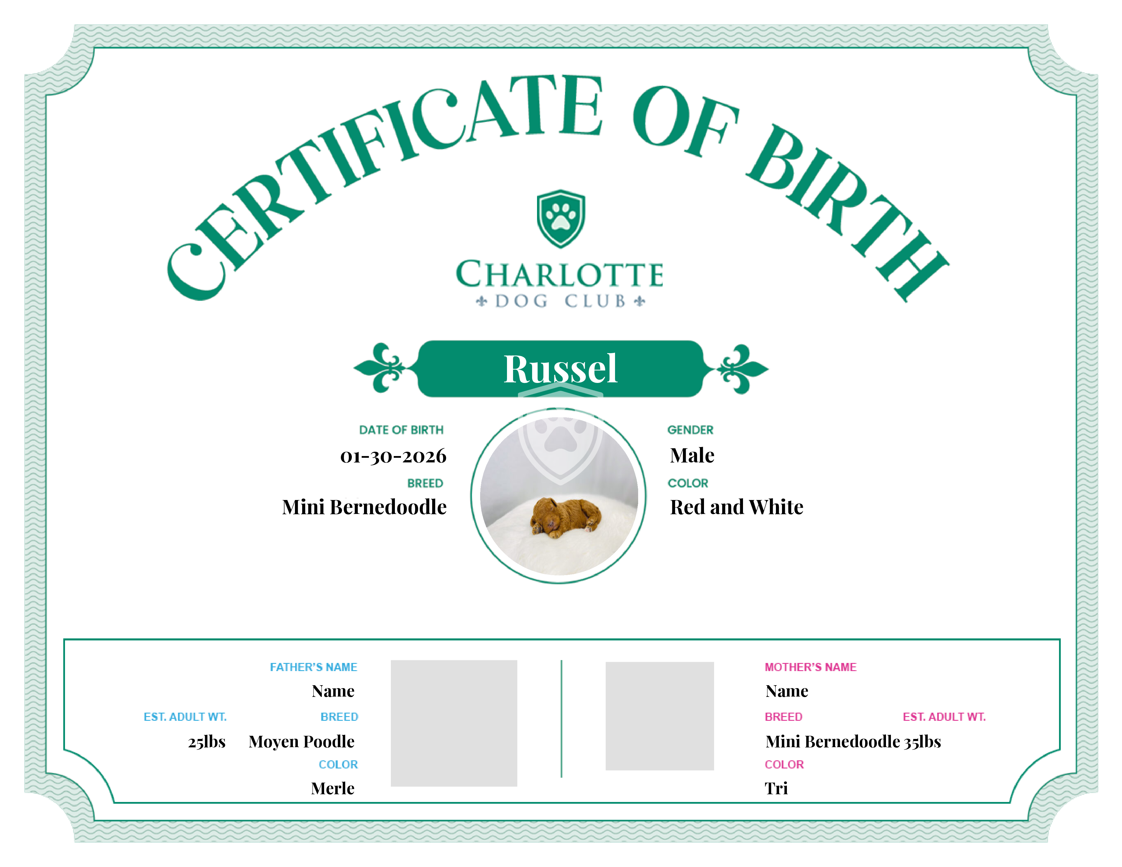 Russel's Birth Certificate