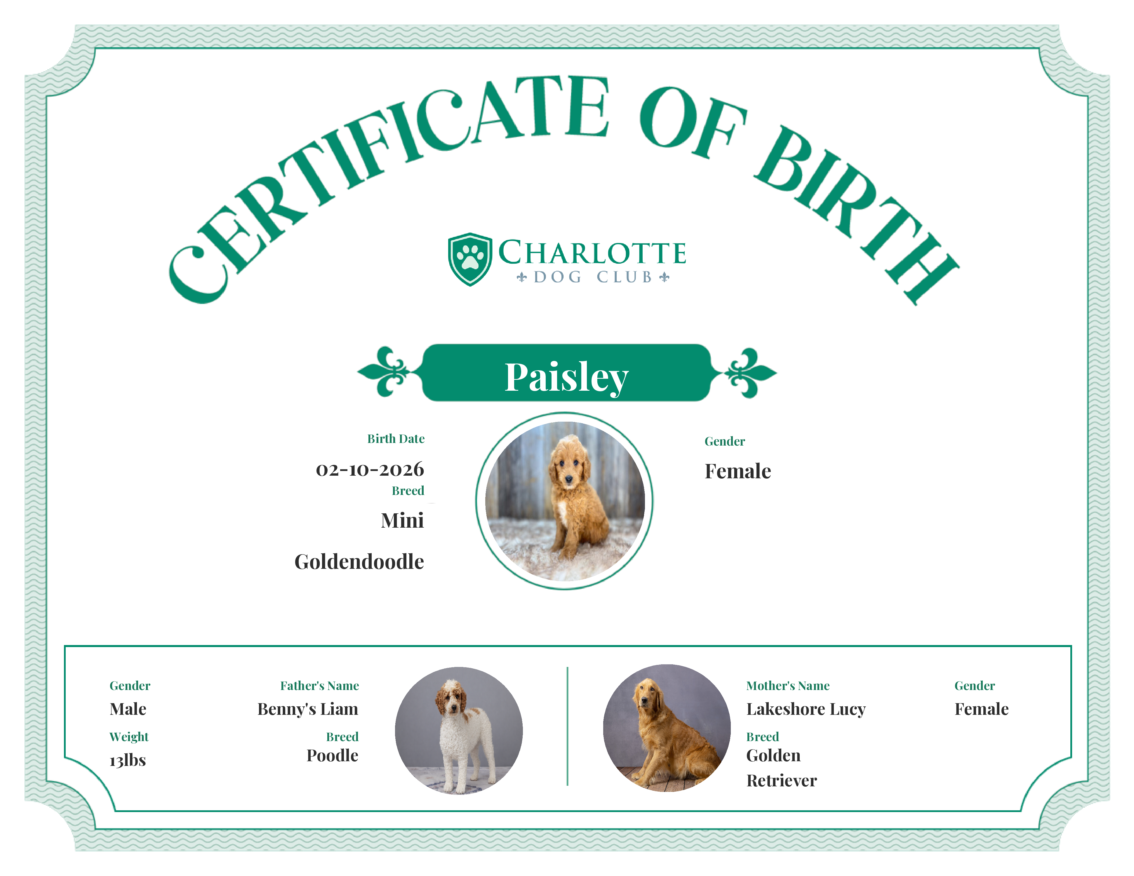 Paisley's Birth Certificate