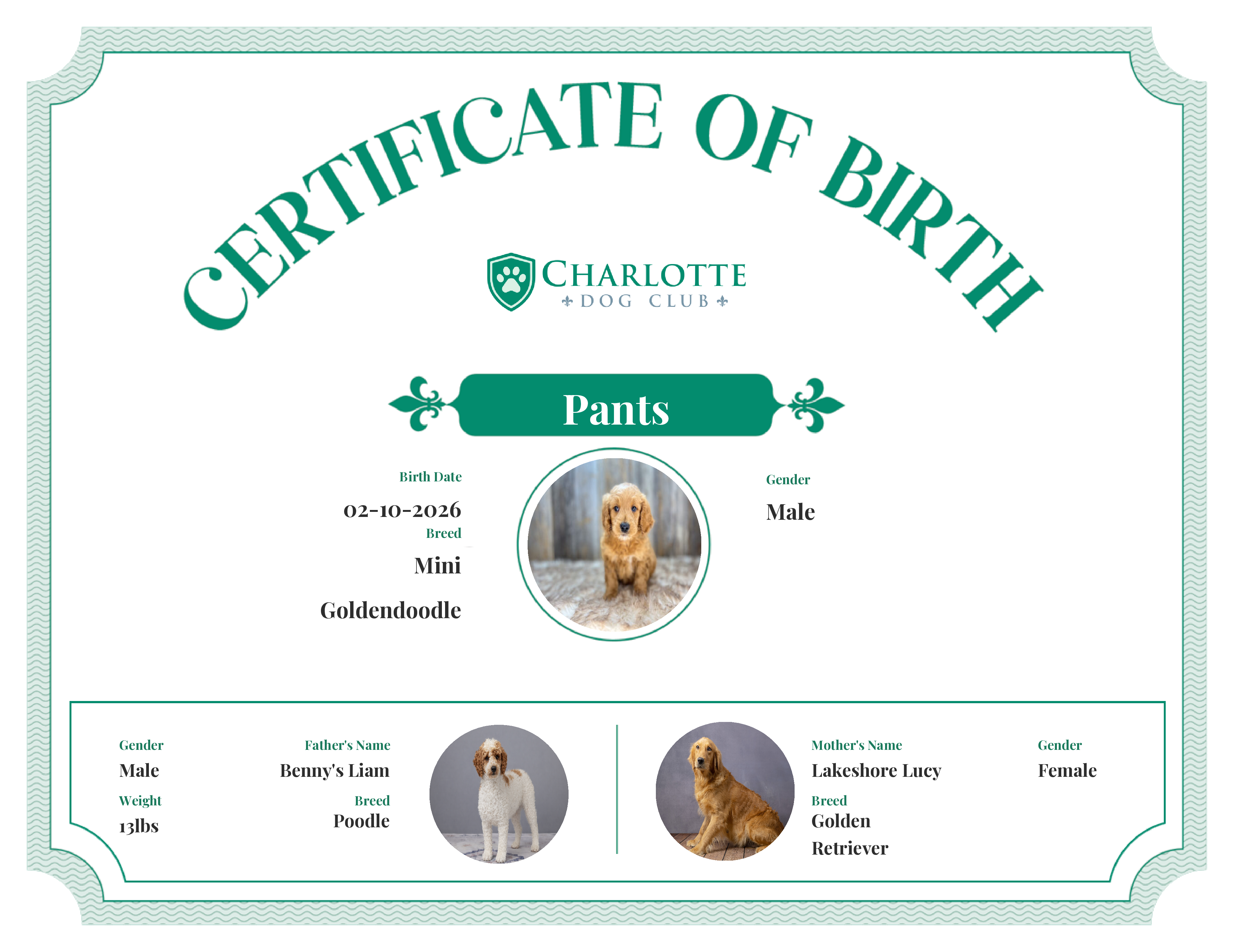 Pants's Birth Certificate