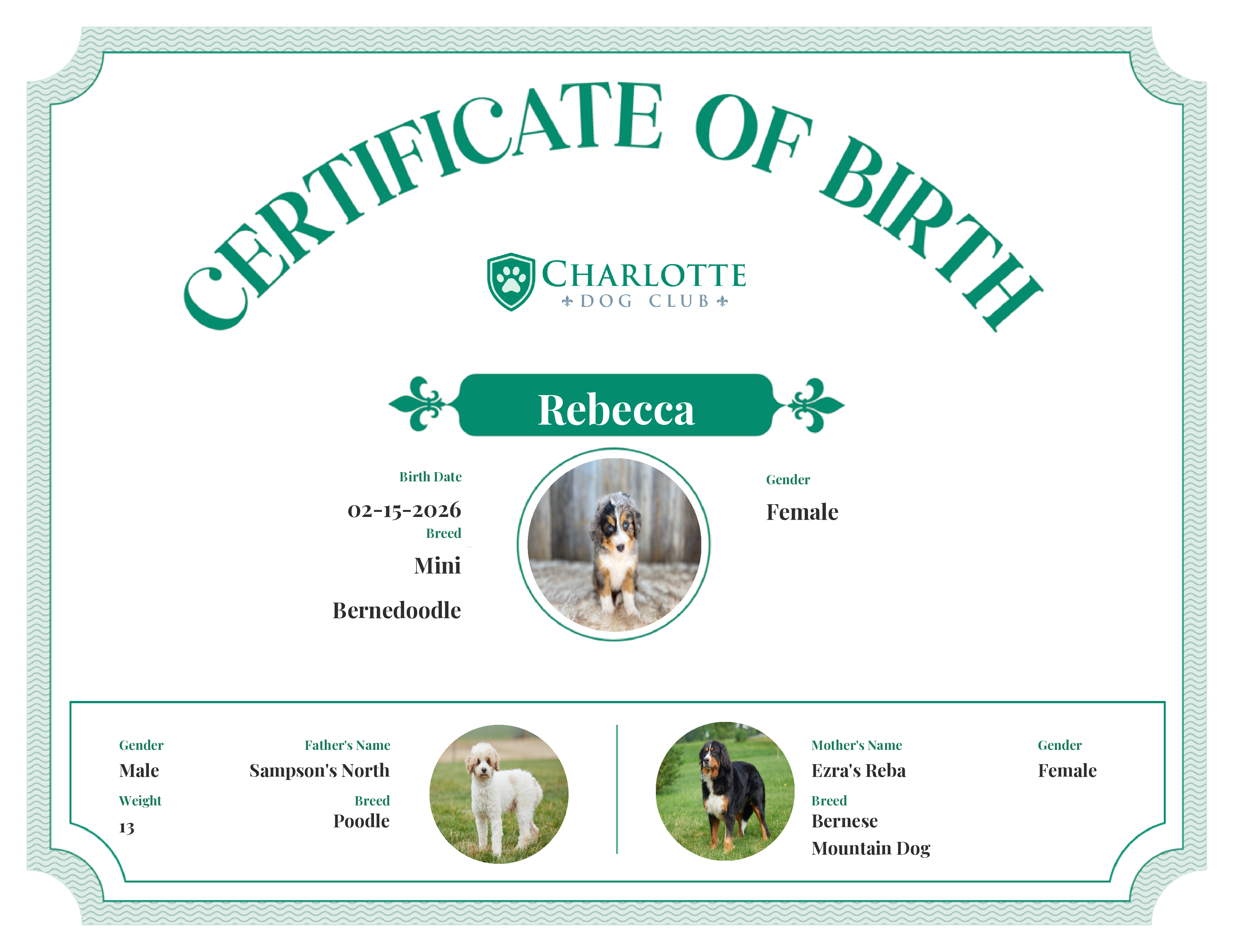 Rebecca's Birth Certificate