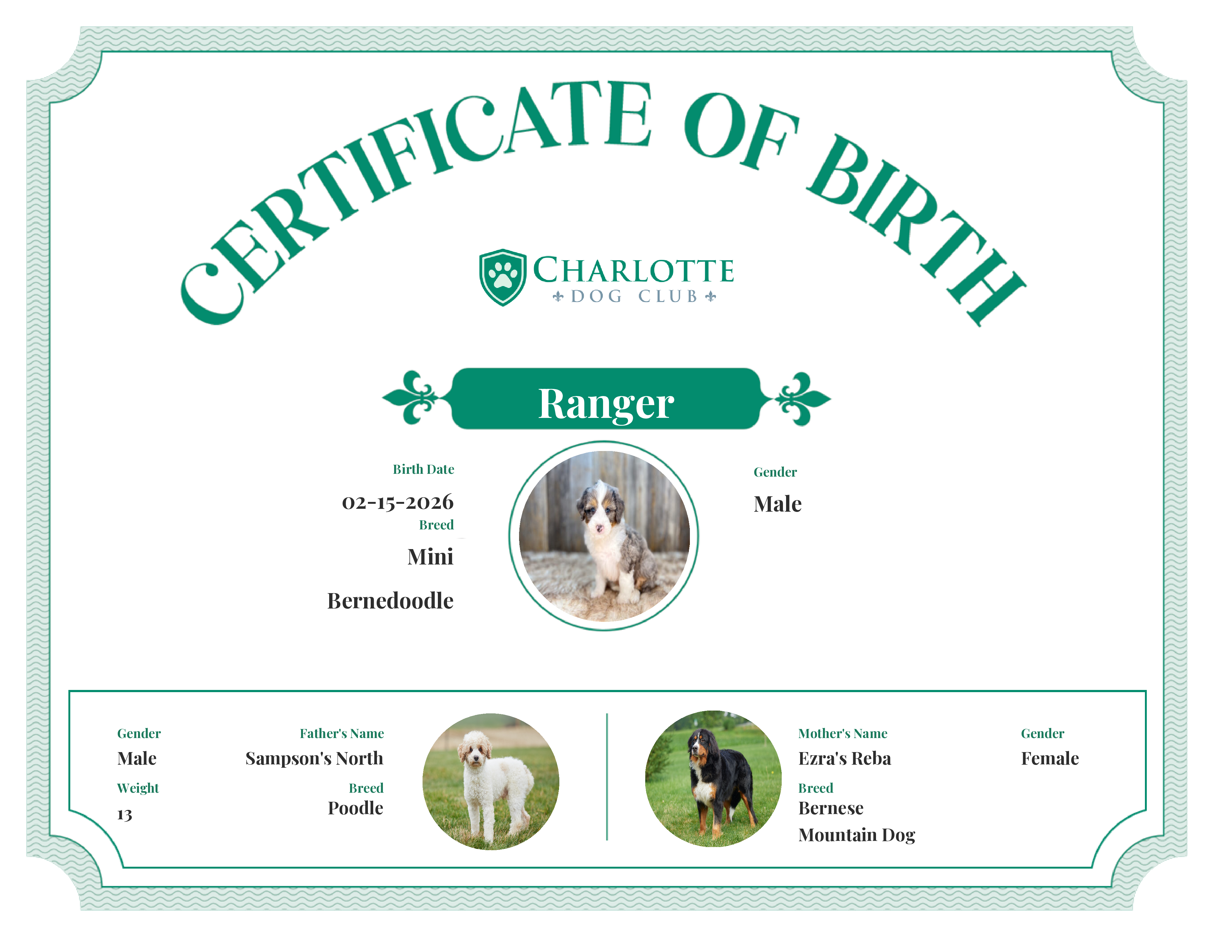 Ranger's Birth Certificate