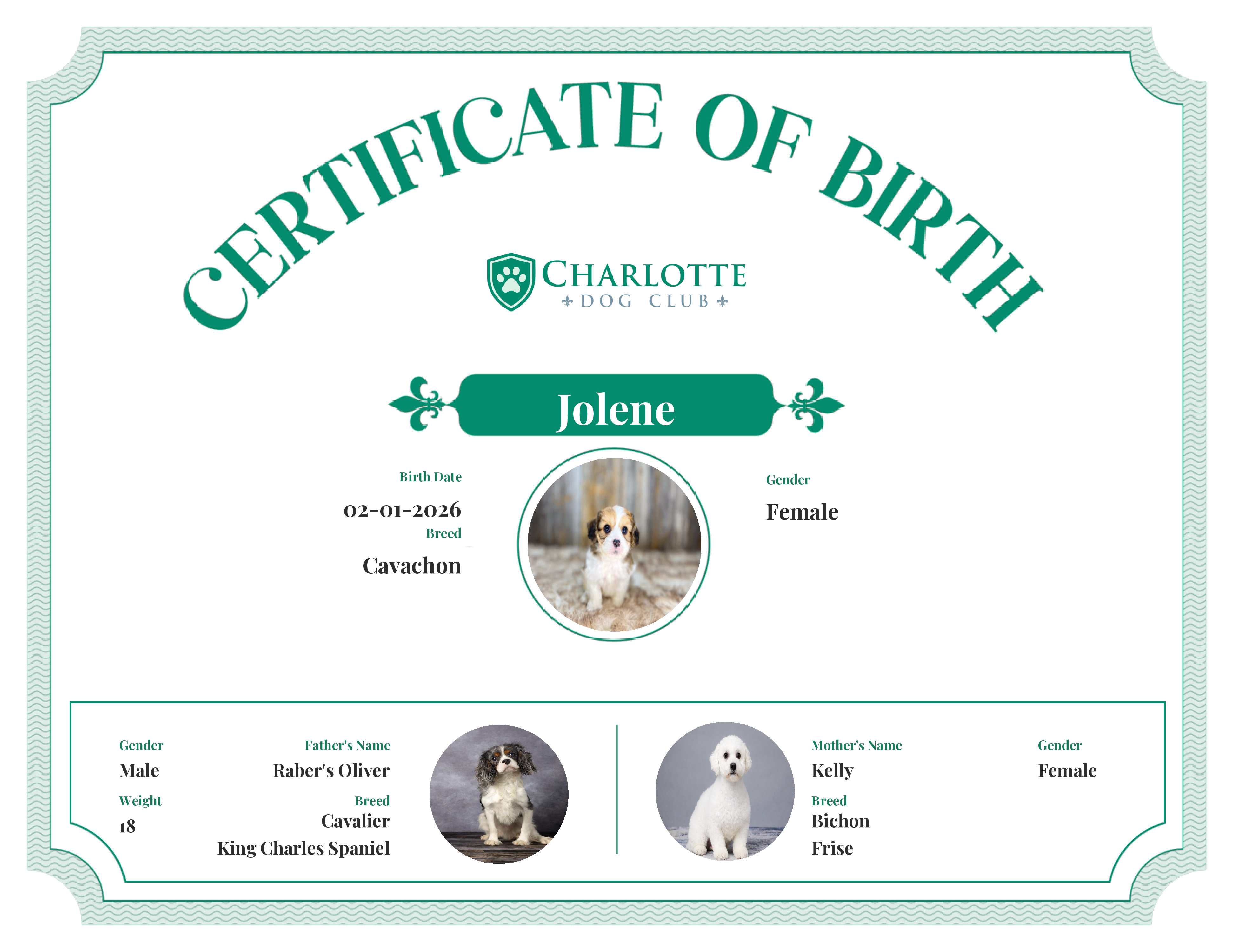 Jolene's Birth Certificate