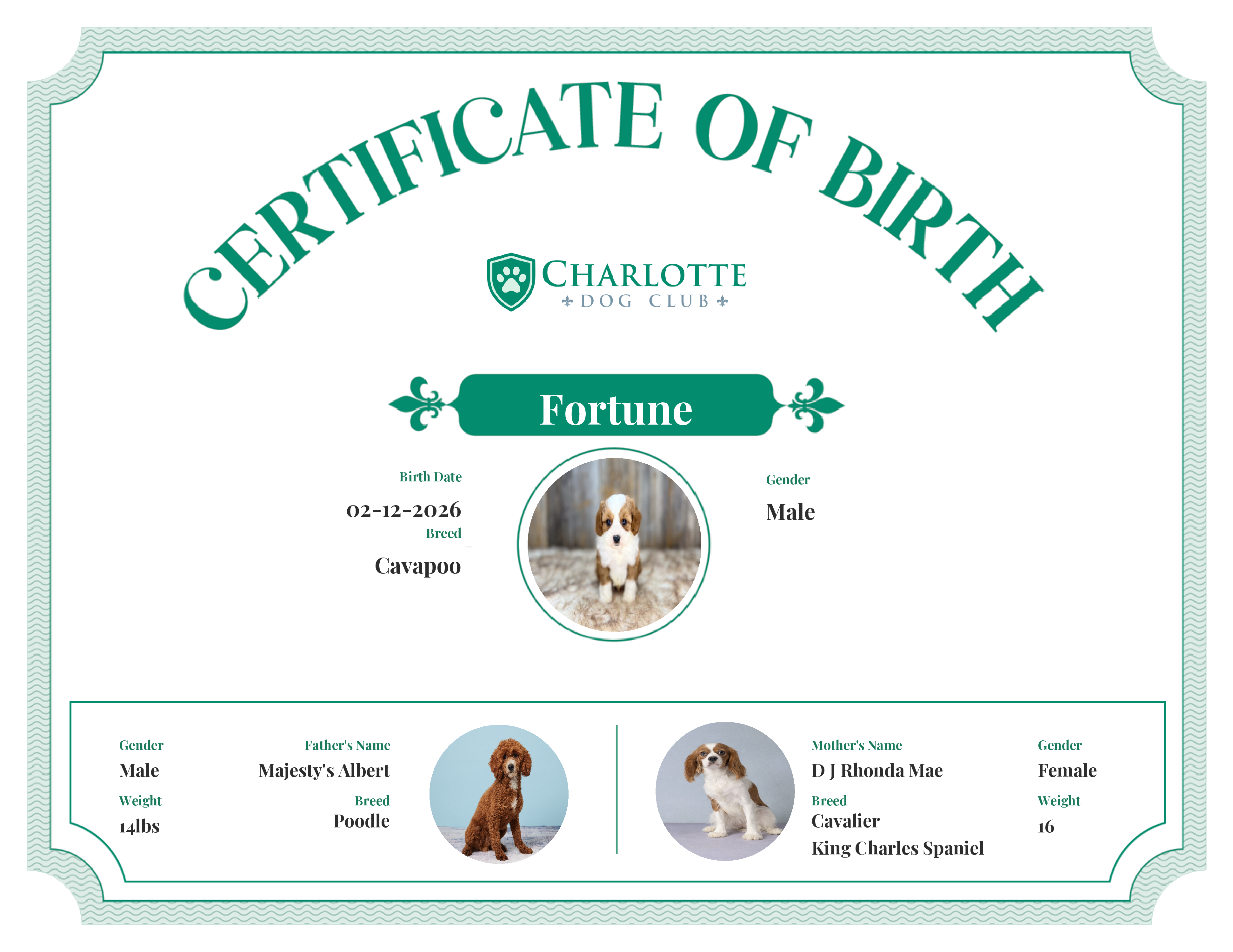 Fortune's Birth Certificate