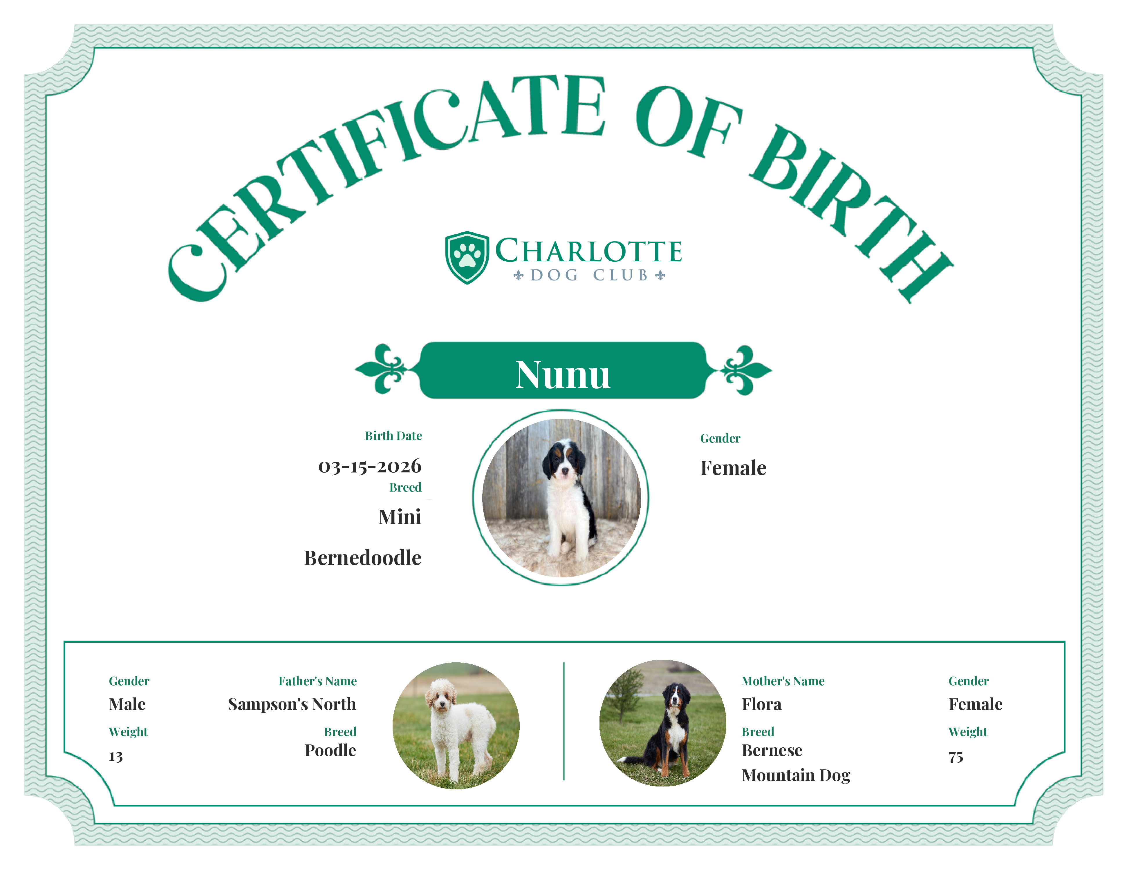 Nunu's Birth Certificate