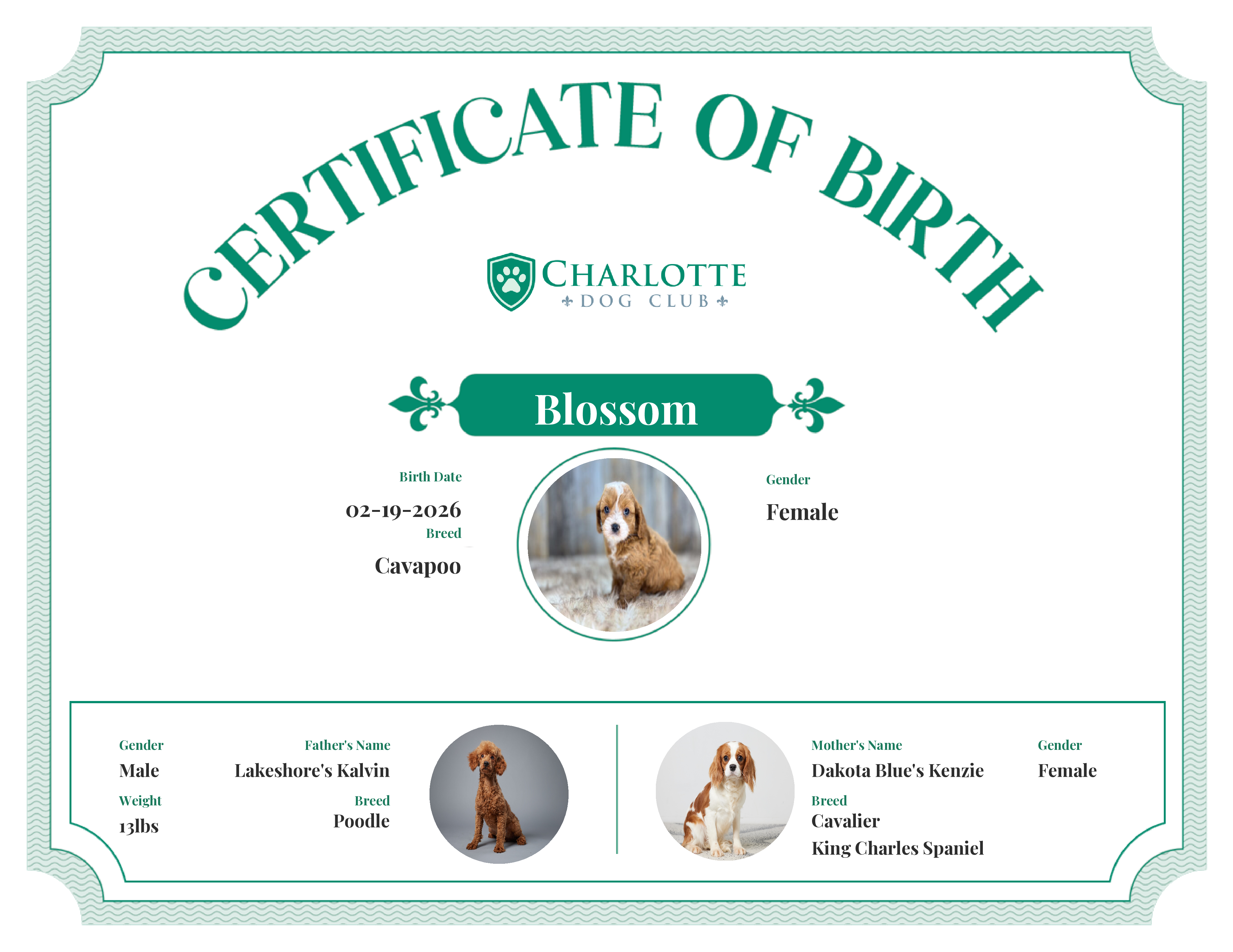 Blossom's Birth Certificate