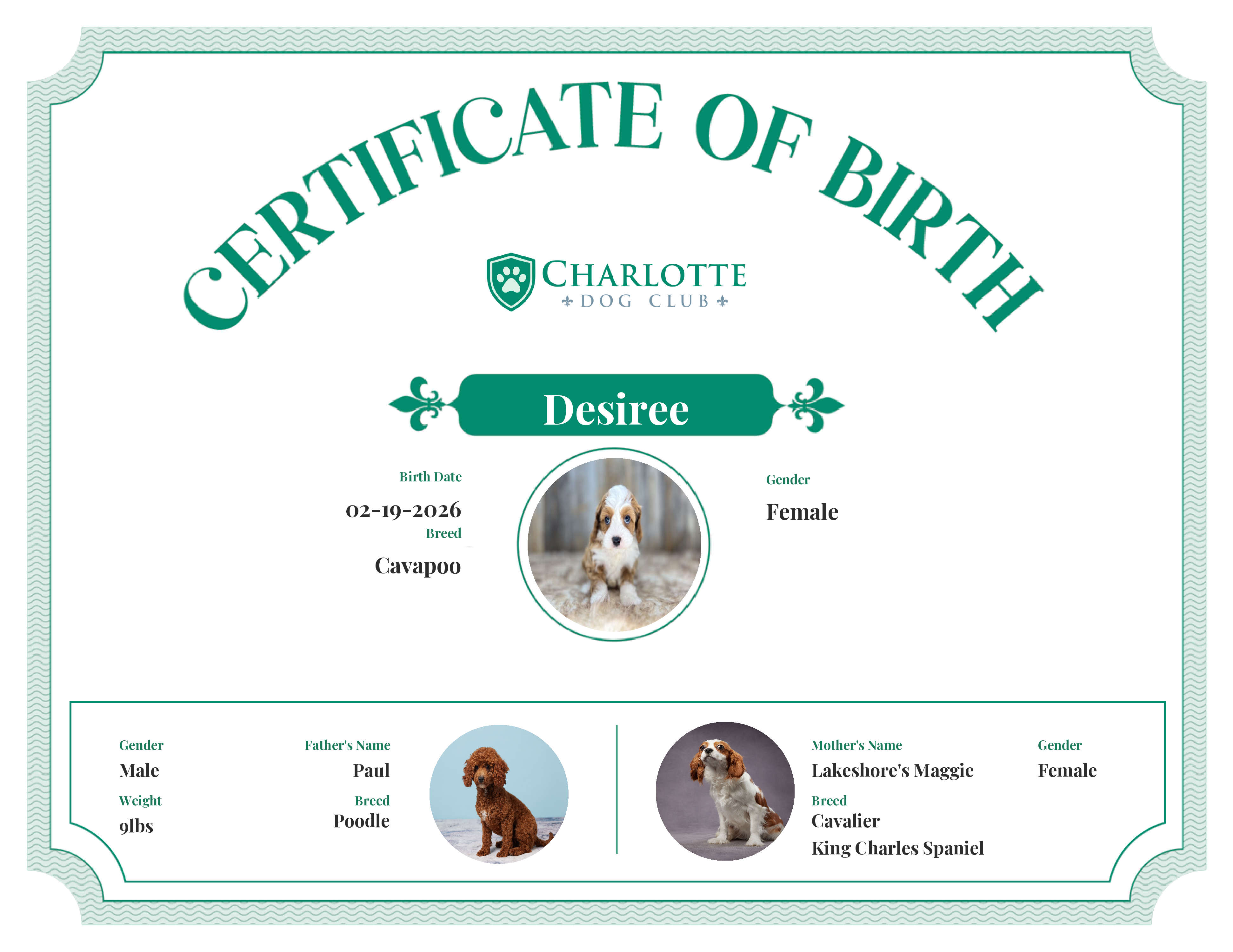 Desiree's Birth Certificate