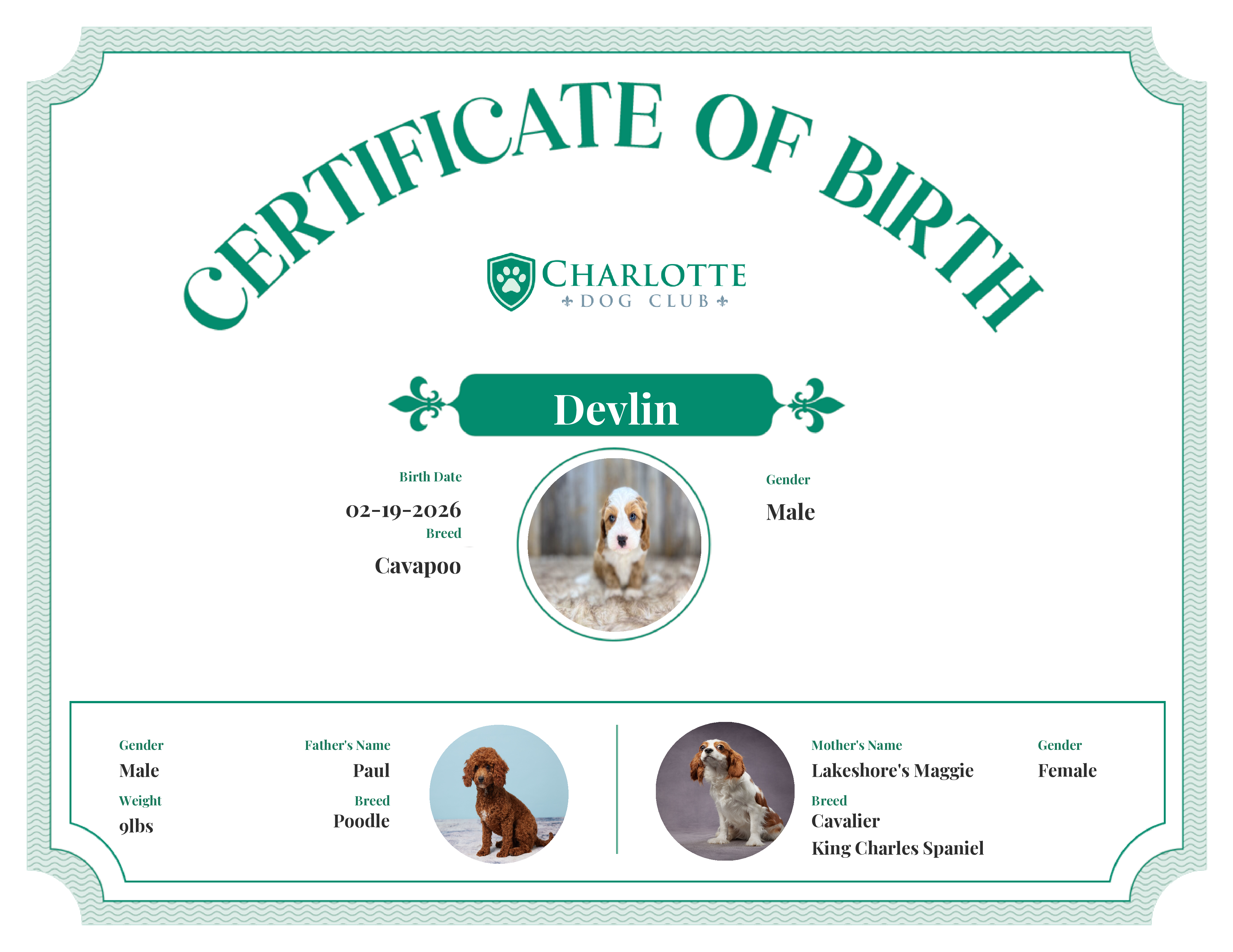 Devlin's Birth Certificate
