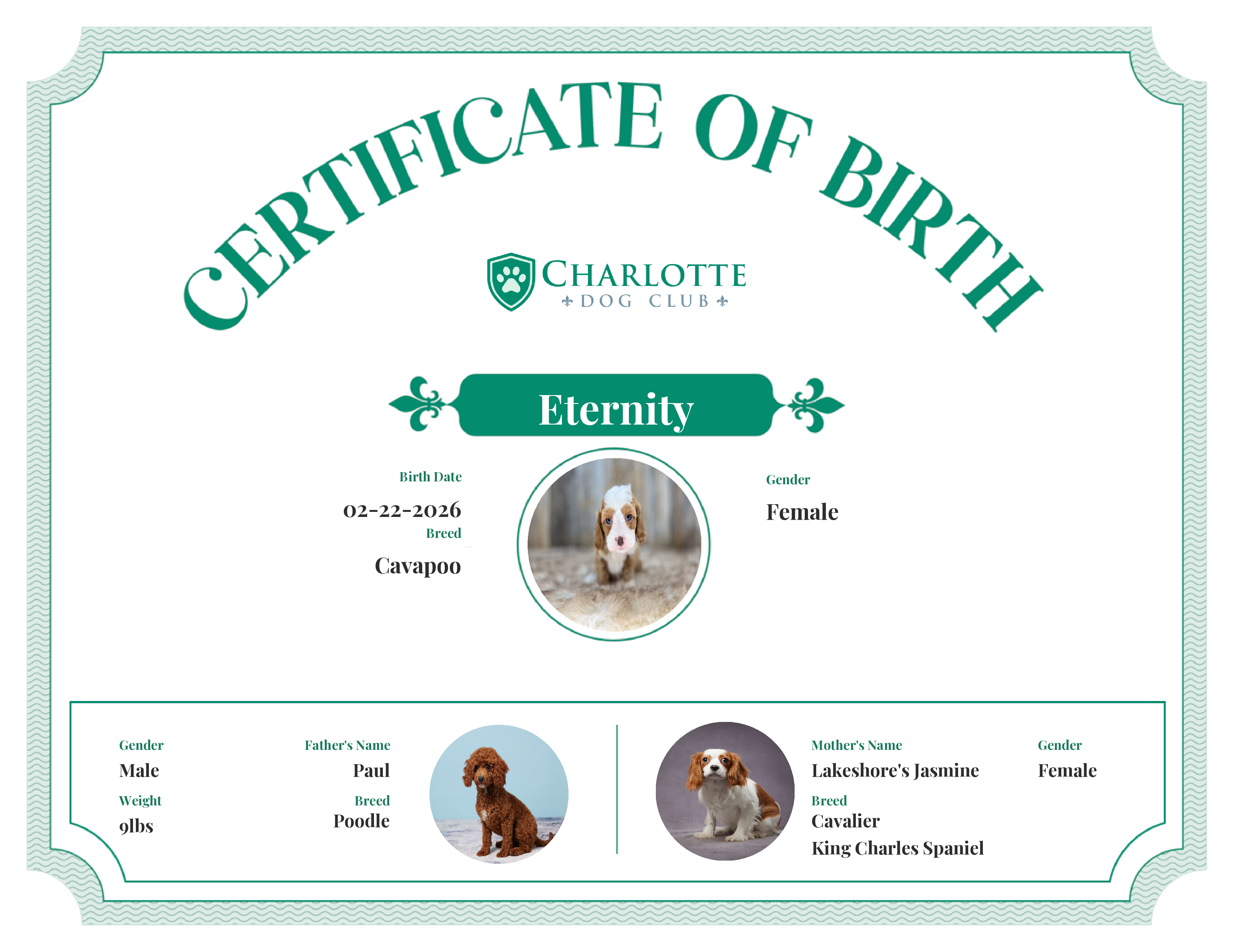 Eternity's Birth Certificate