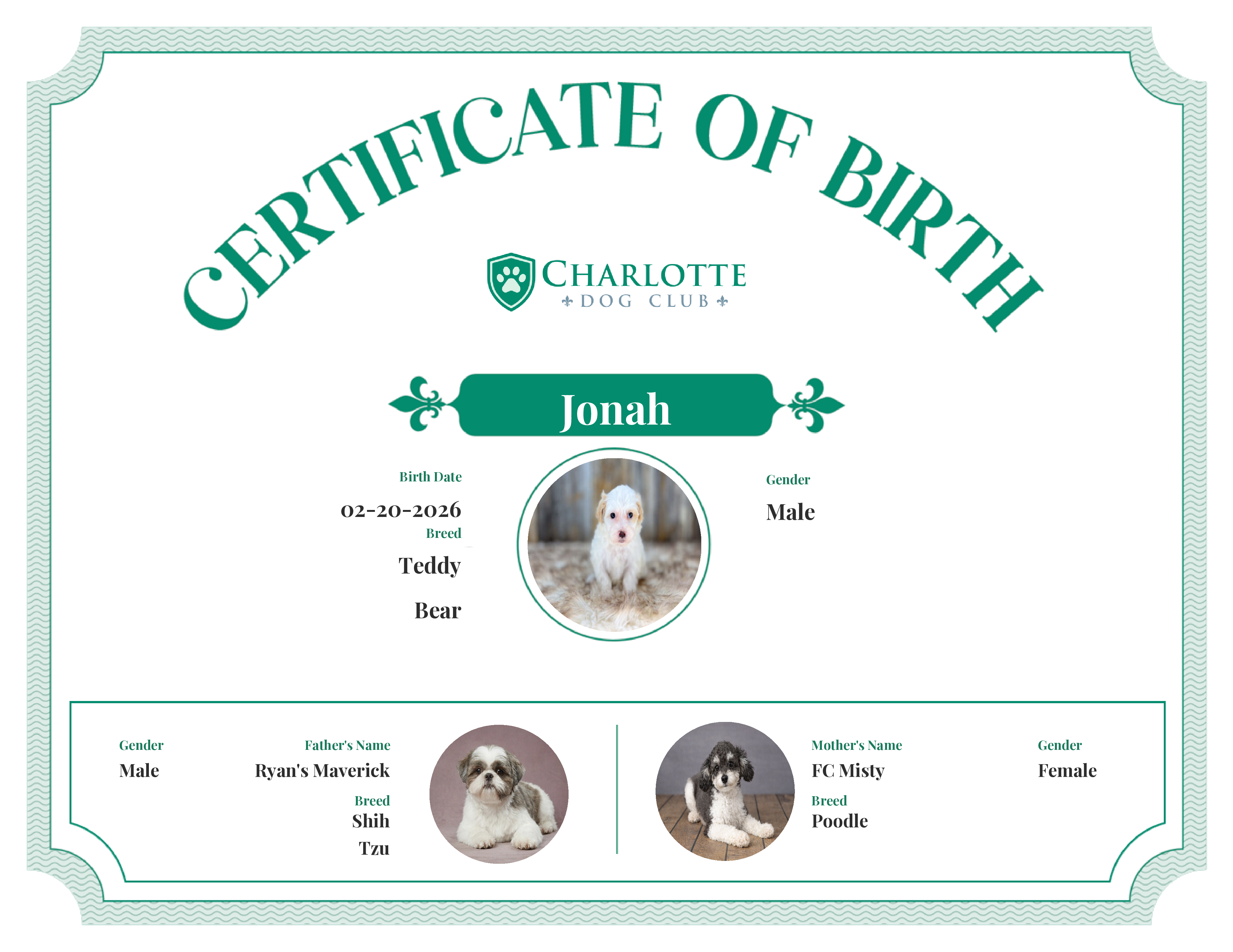 Jonah's Birth Certificate