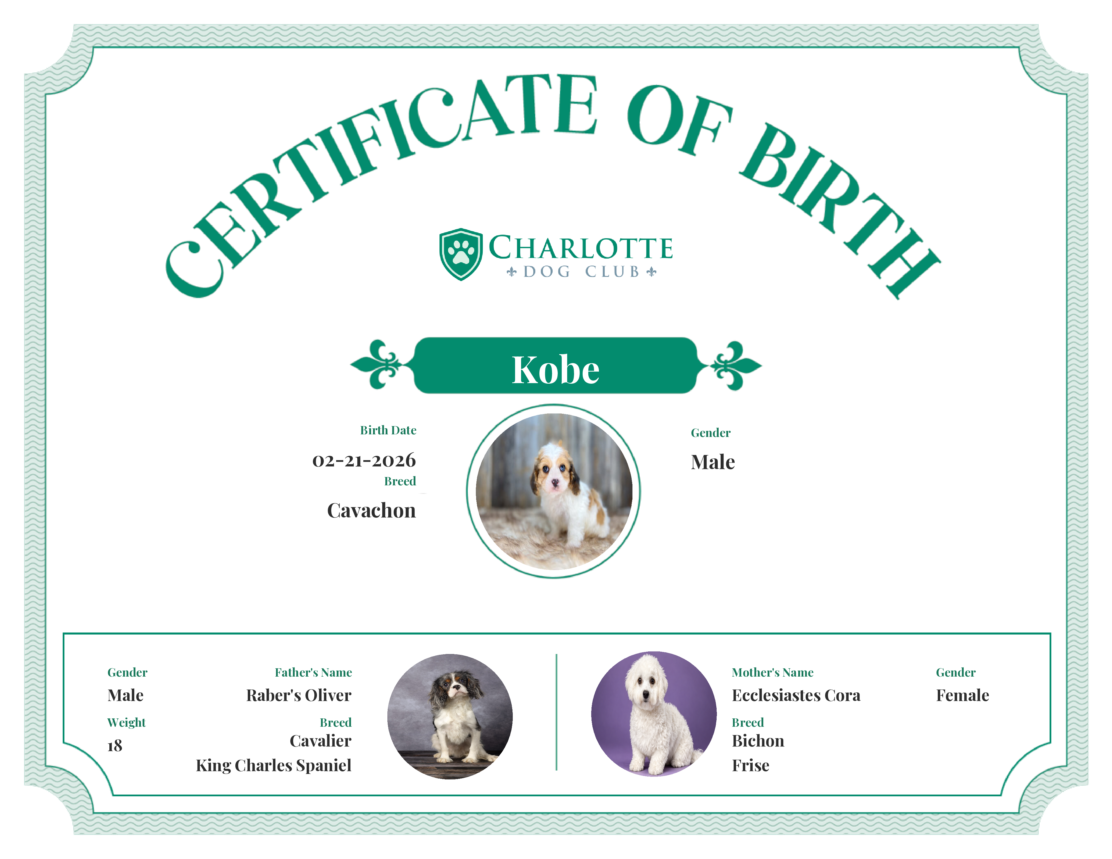 Kobe's Birth Certificate