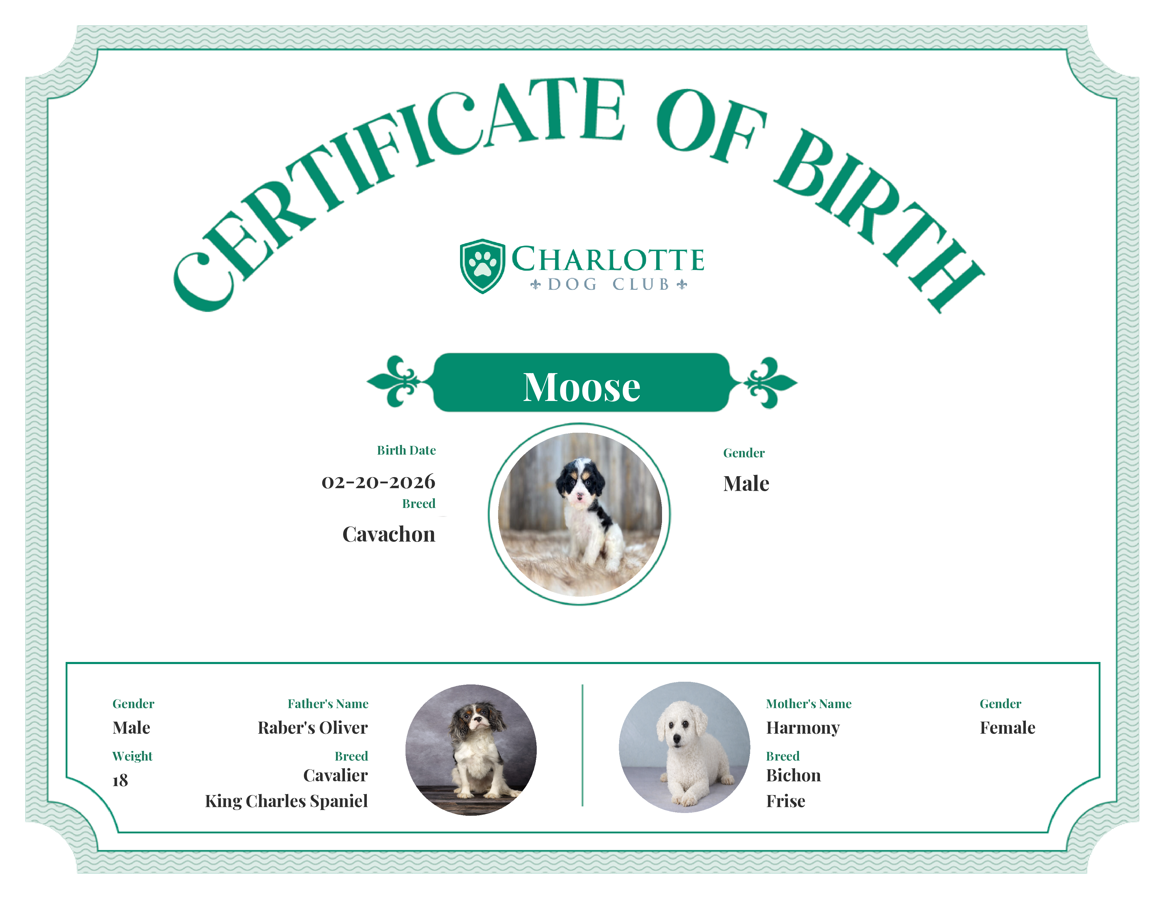 Moose's Birth Certificate