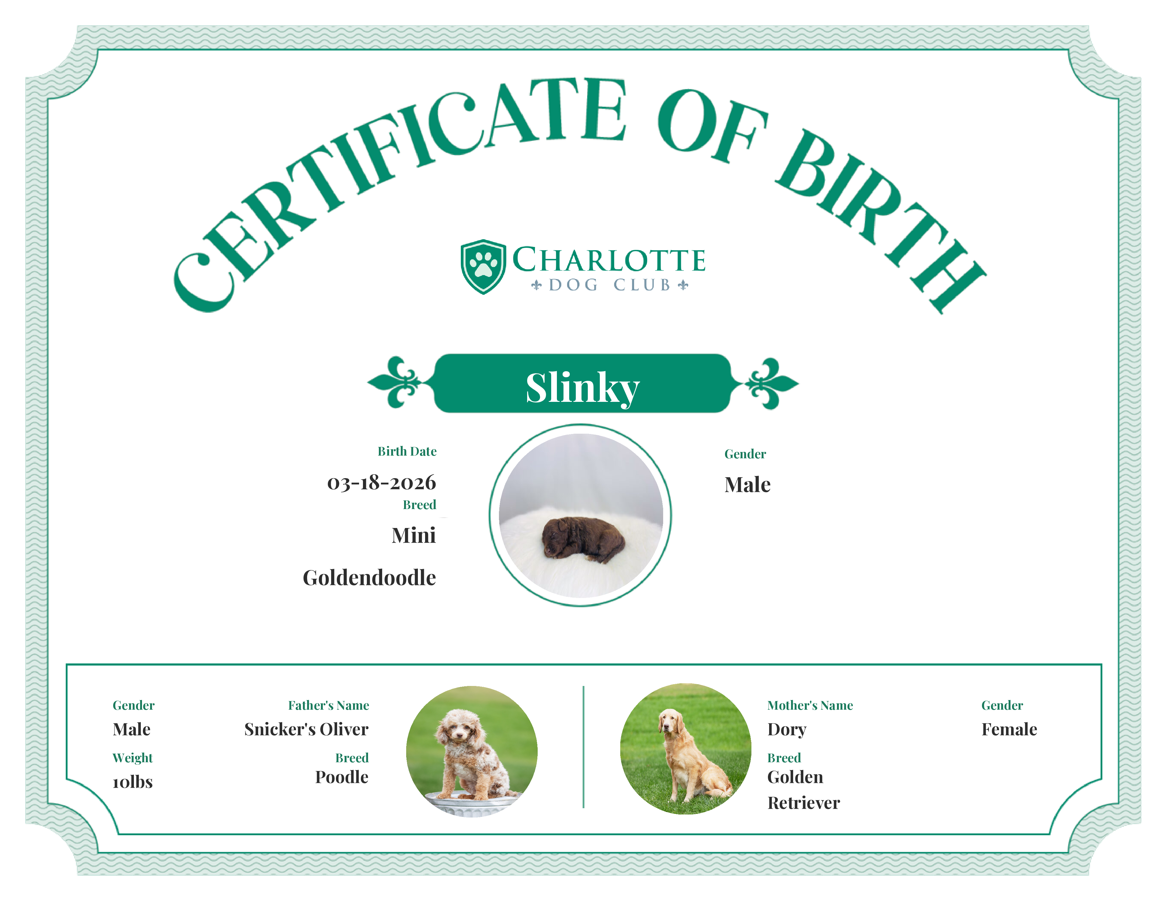 Slinky's Birth Certificate