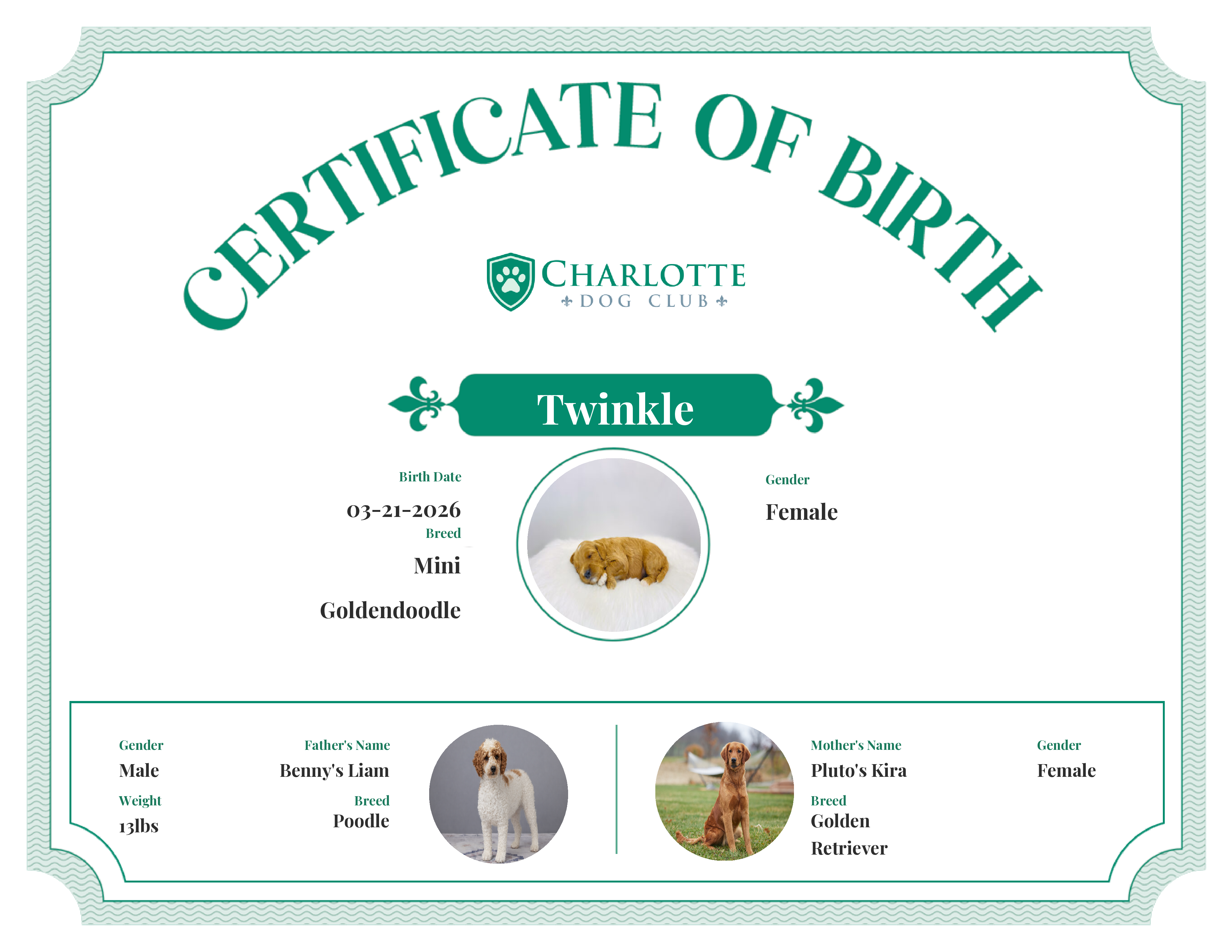 Twinkle's Birth Certificate