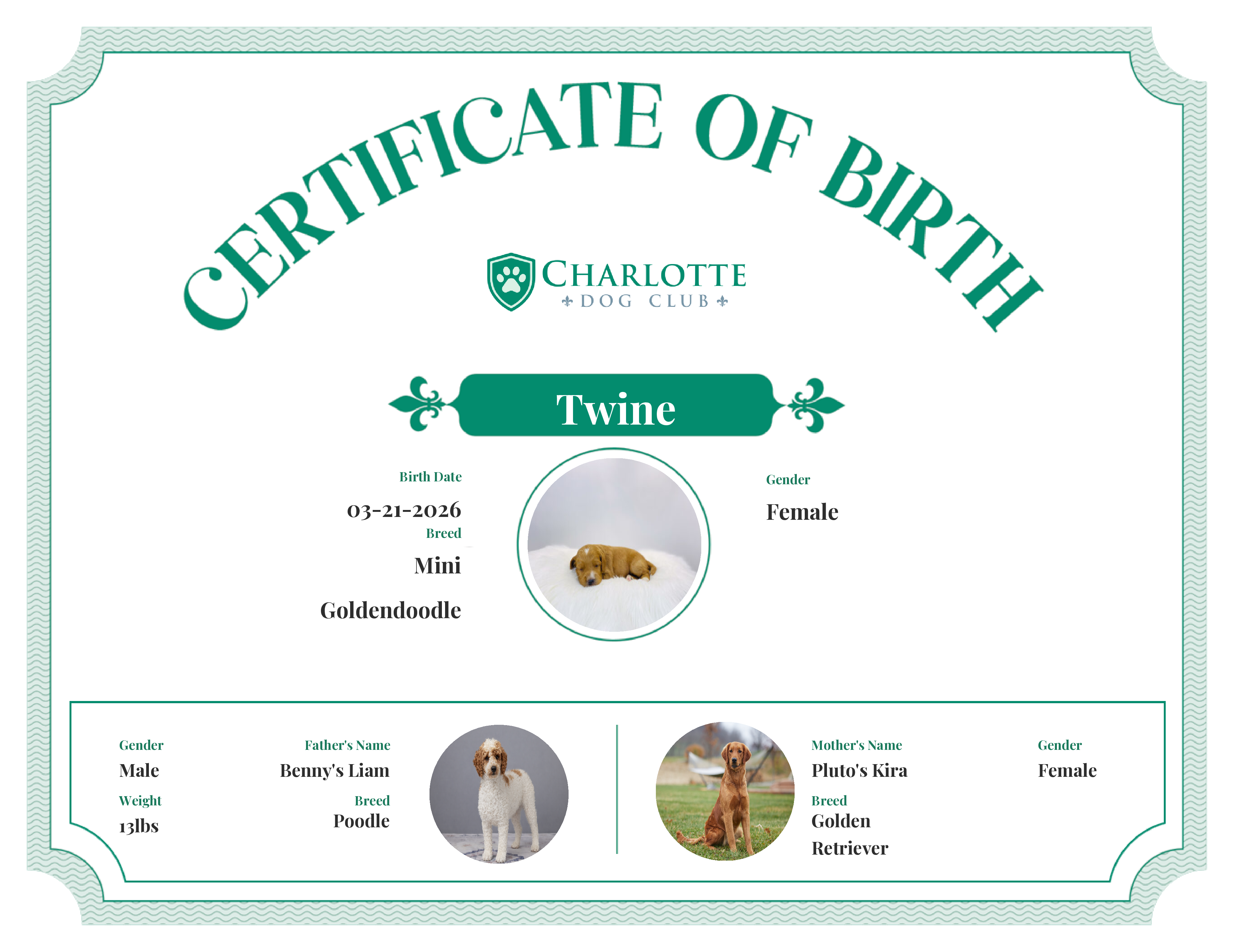 Twine's Birth Certificate