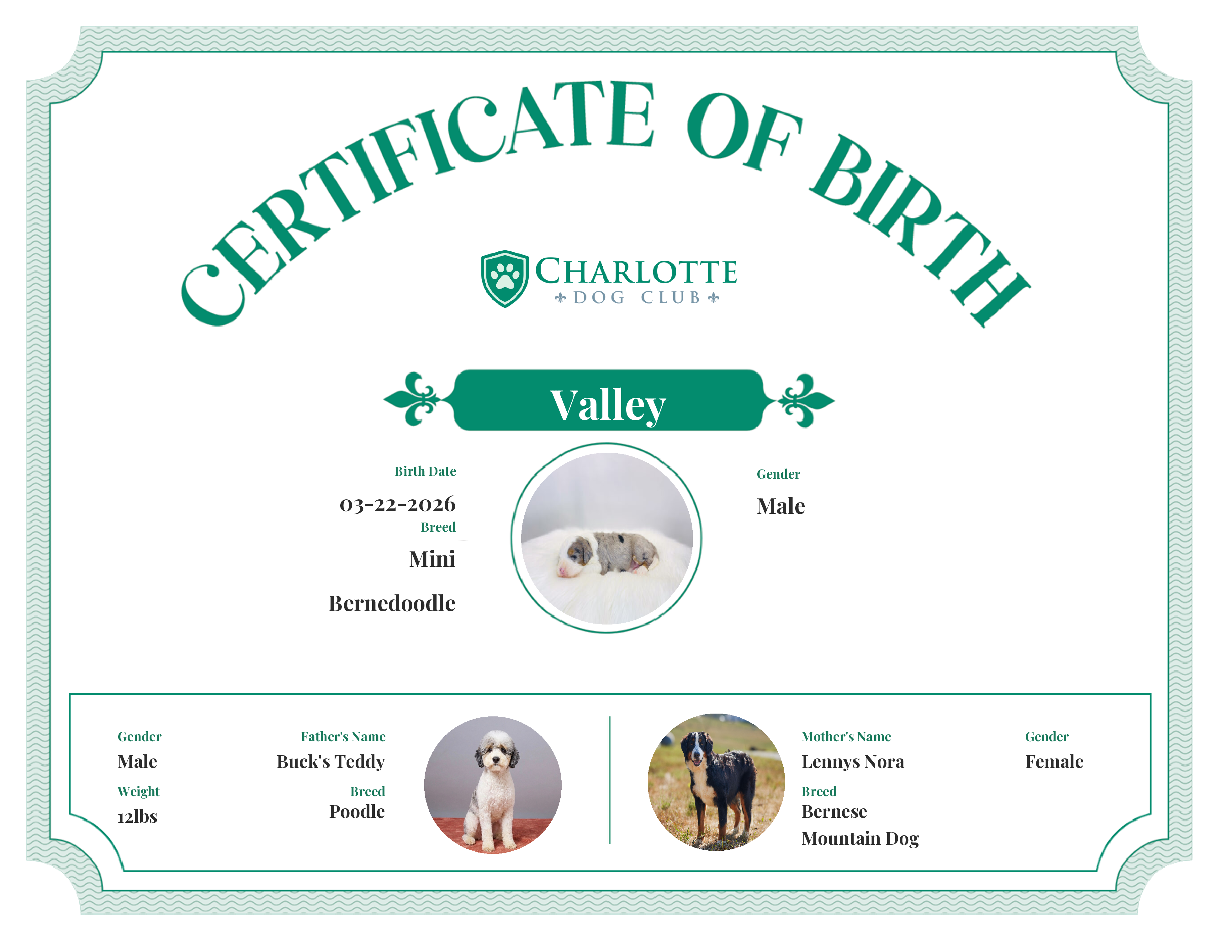 Valley's Birth Certificate
