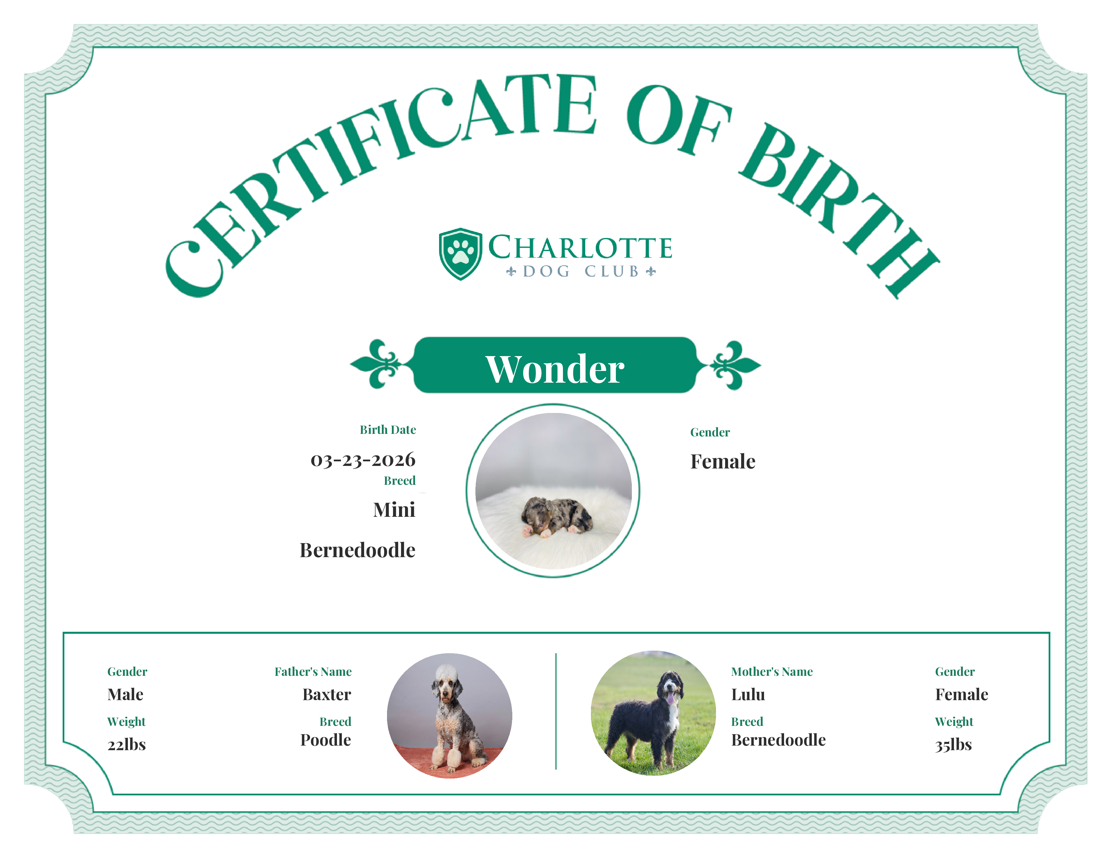 Wonder's Birth Certificate