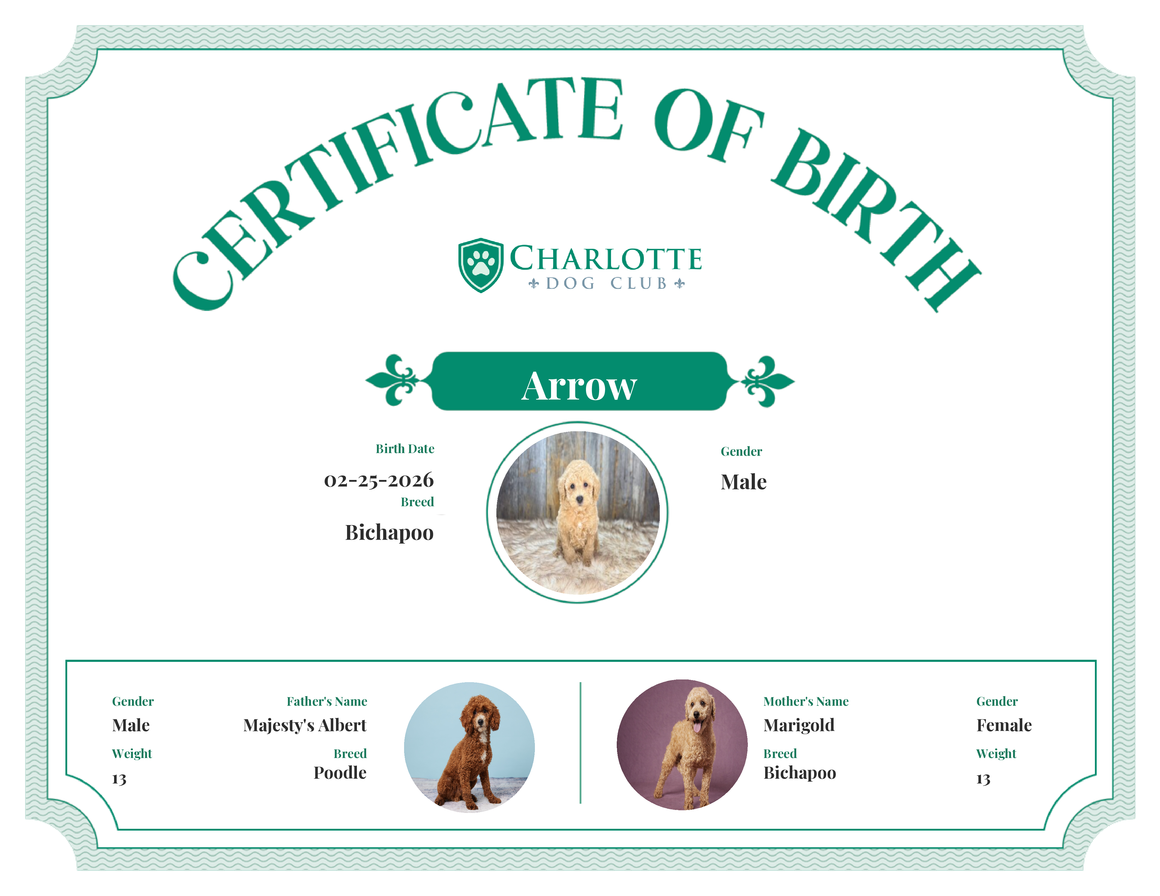Arrow's Birth Certificate