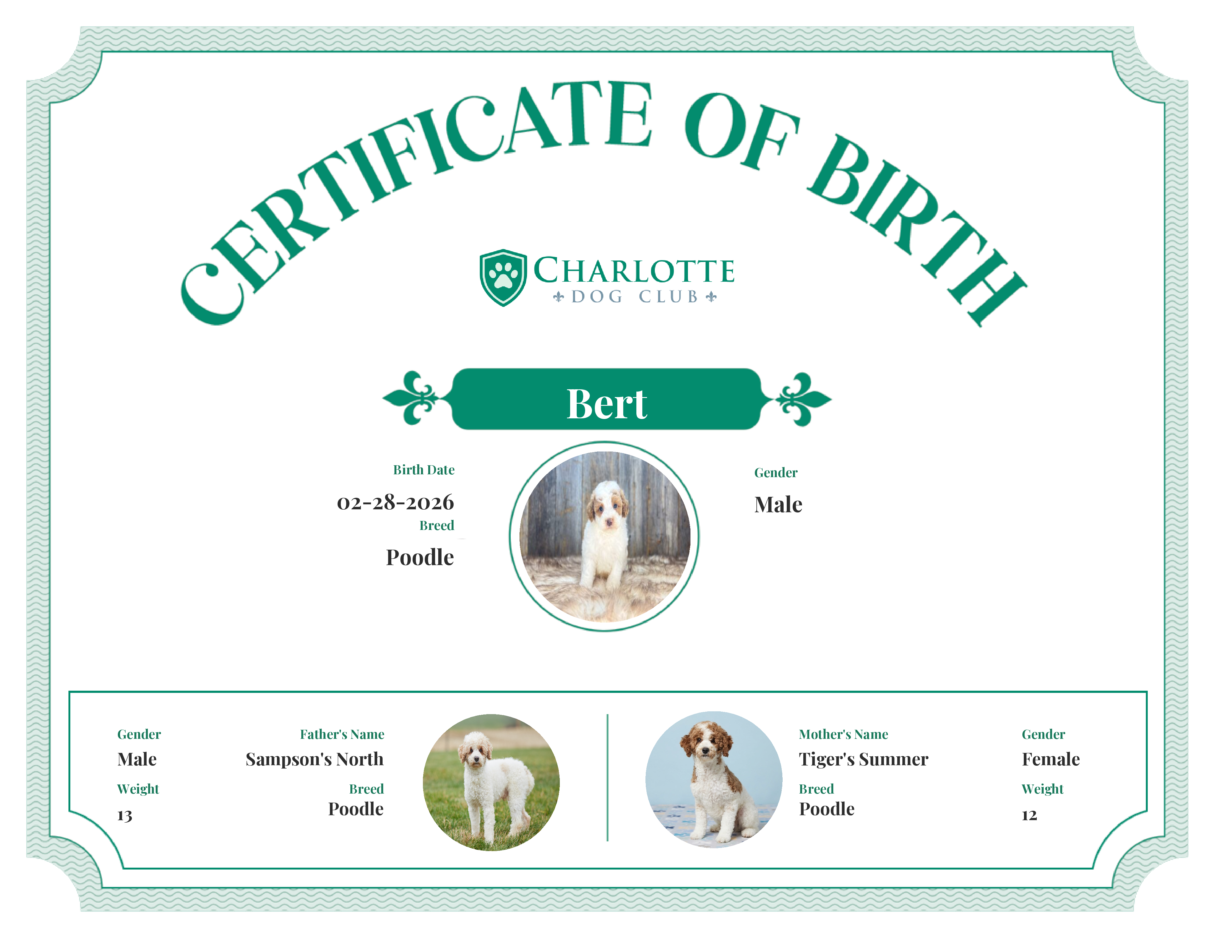 Bert's Birth Certificate
