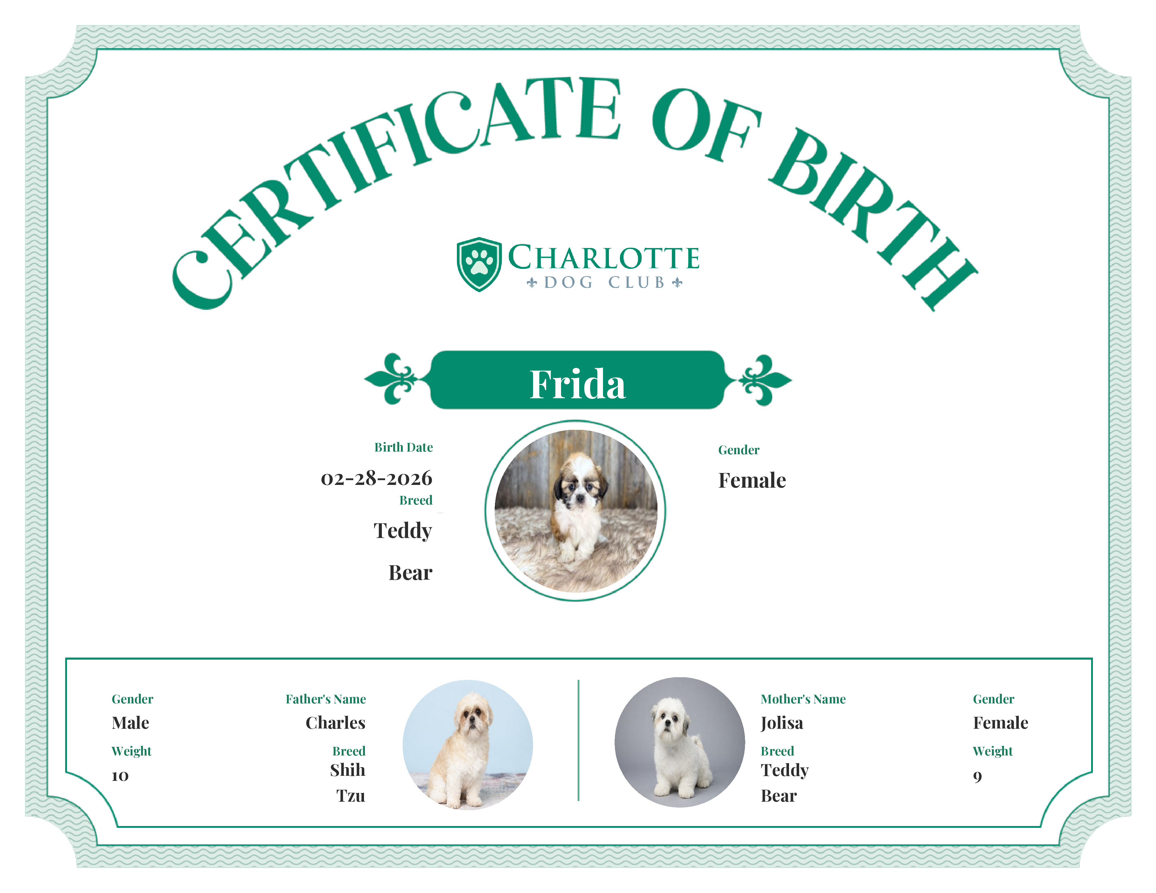 Frida's Birth Certificate