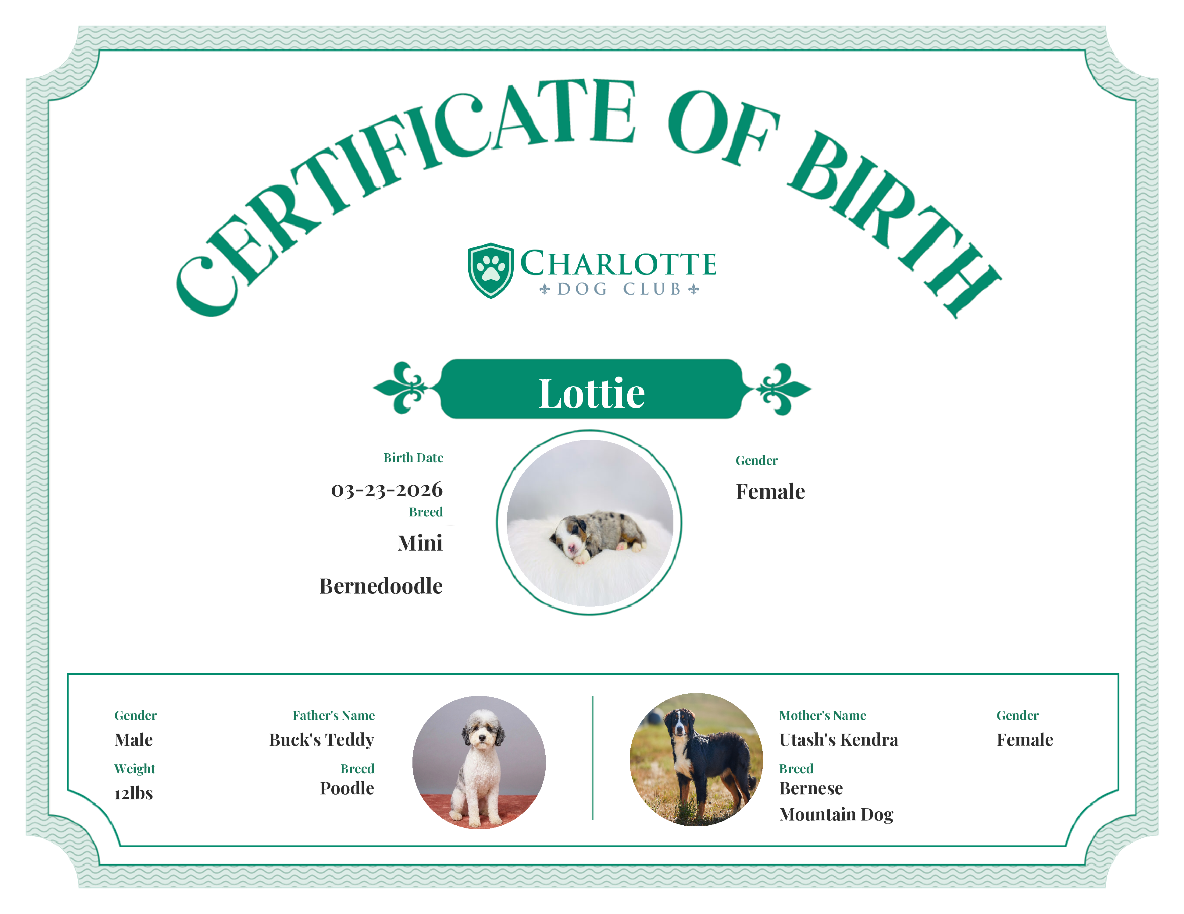 Lottie's Birth Certificate