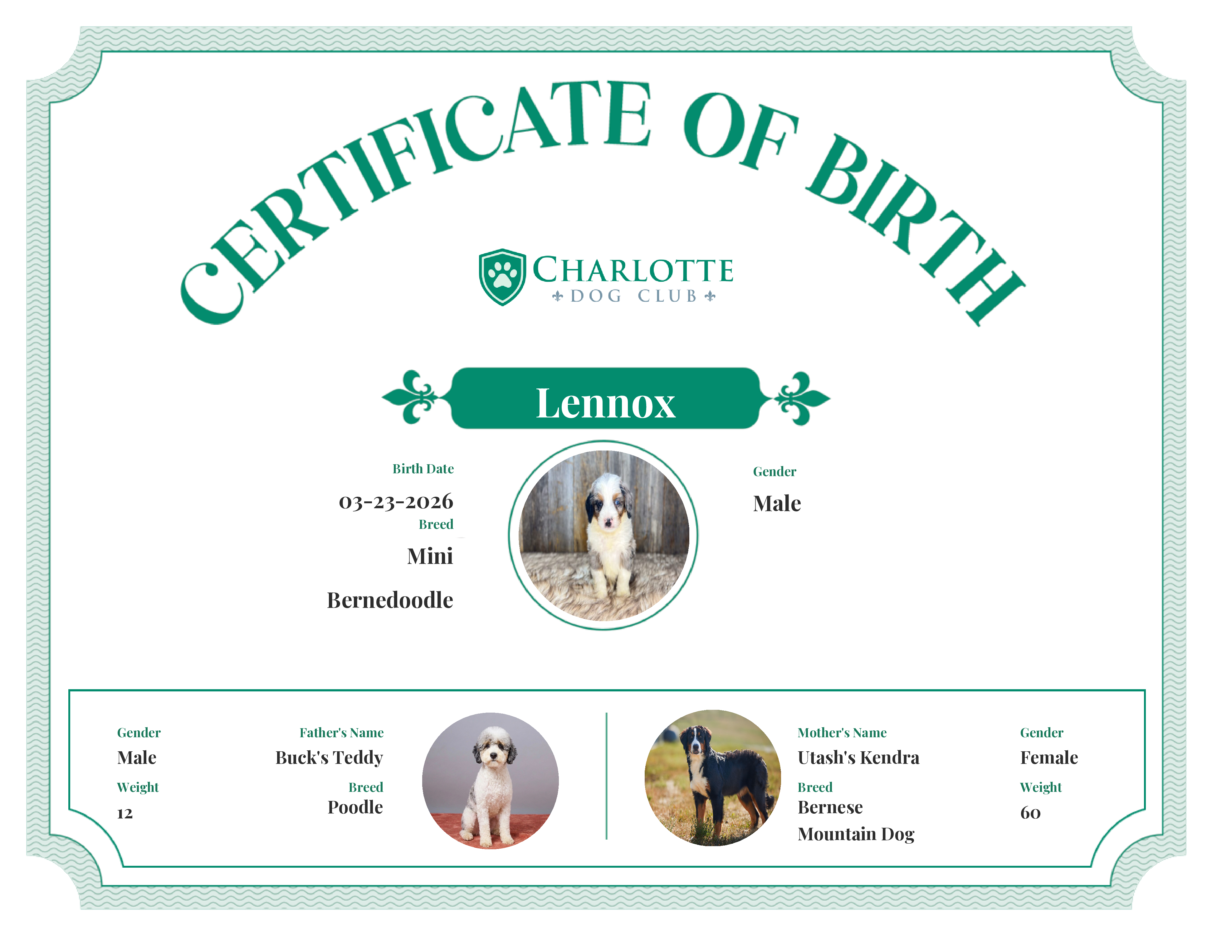 Lennox's Birth Certificate