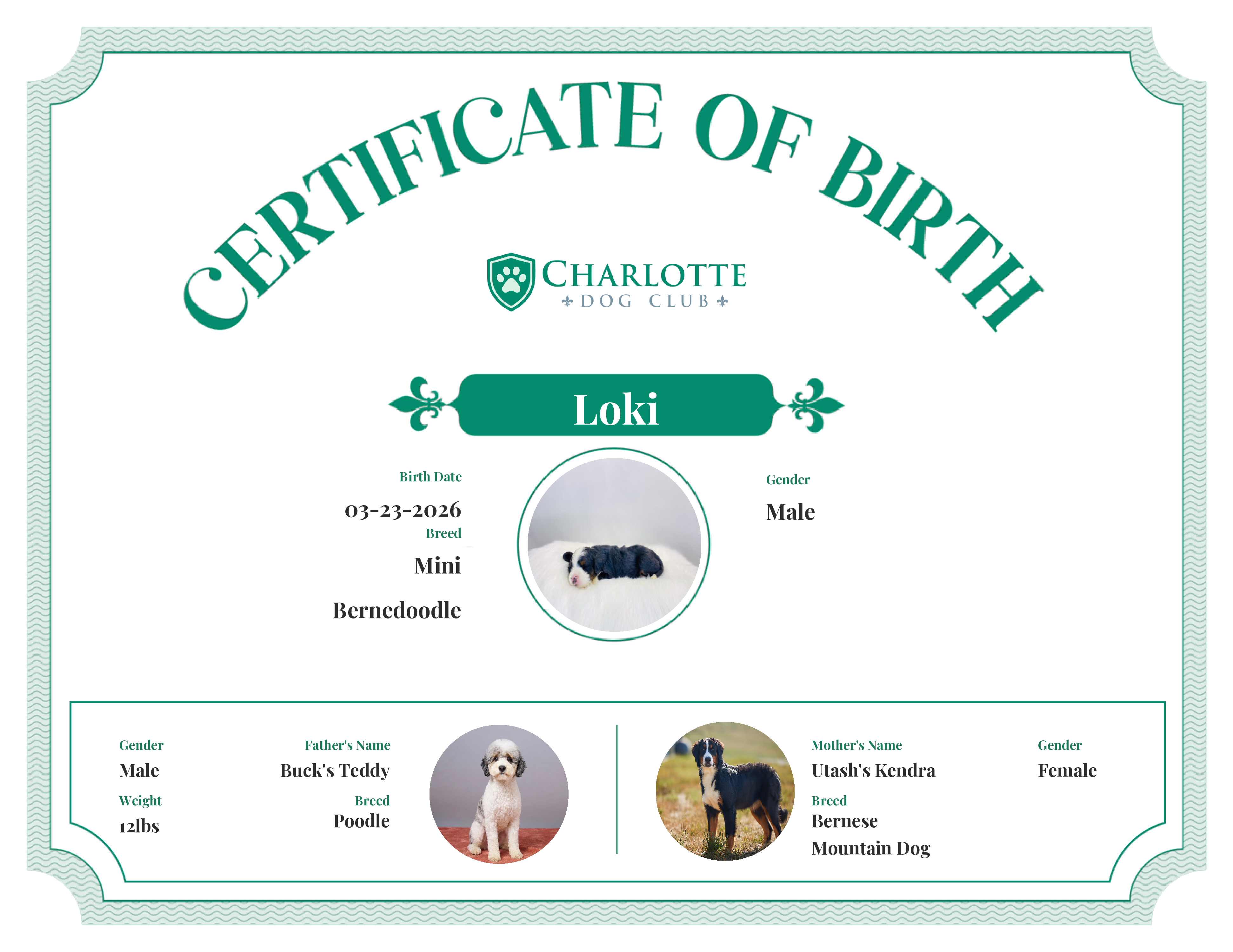 Loki's Birth Certificate