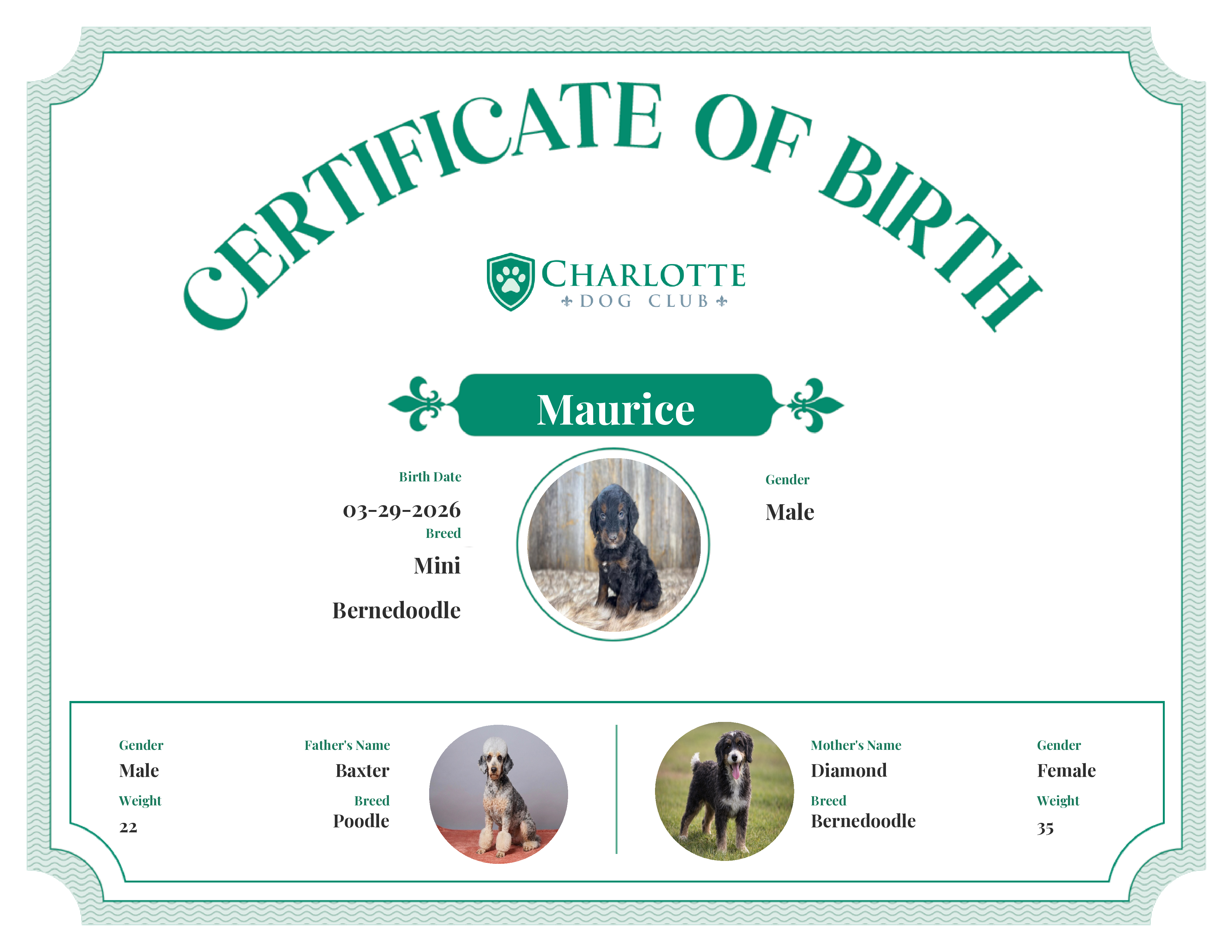 Maurice's Birth Certificate