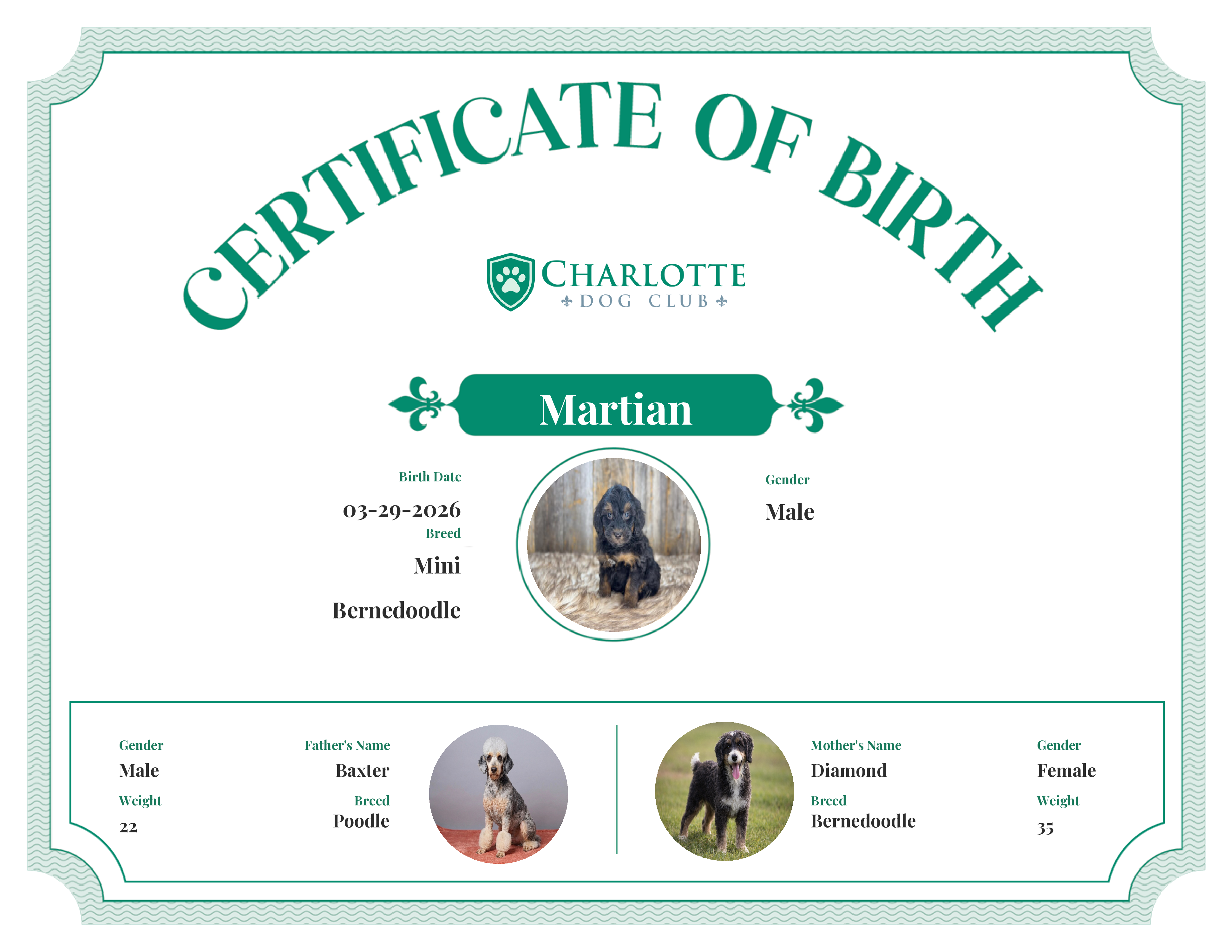 Martian's Birth Certificate