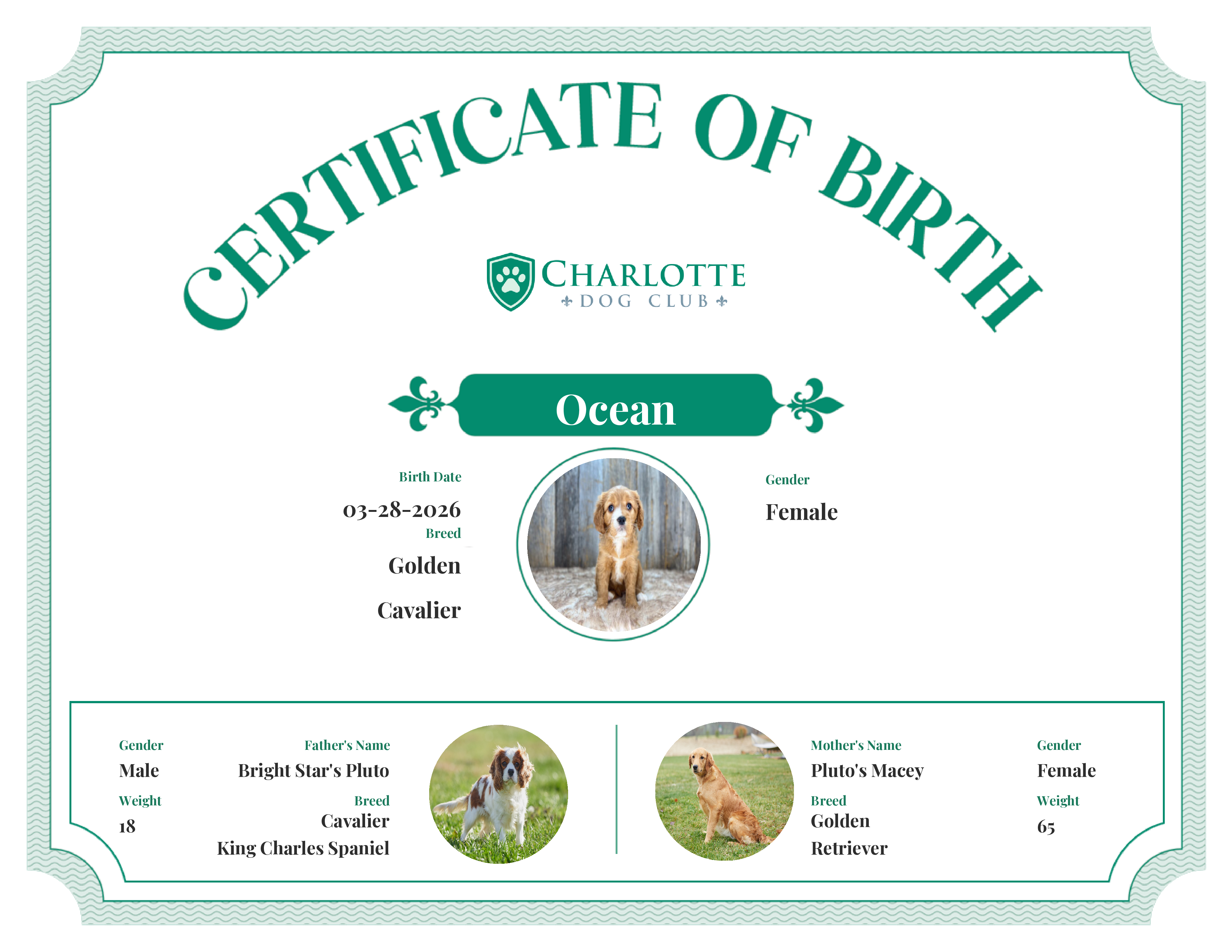 Ocean's Birth Certificate