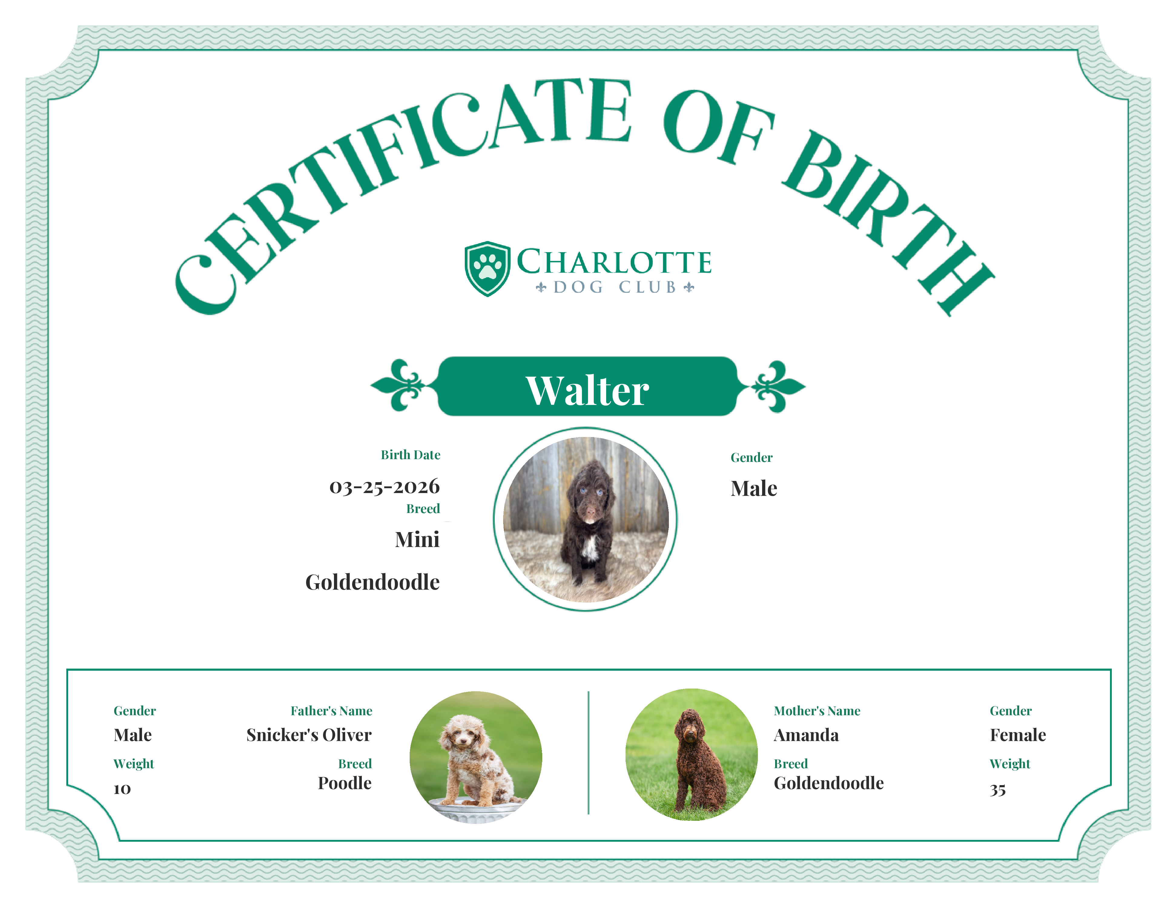 Walter's Birth Certificate