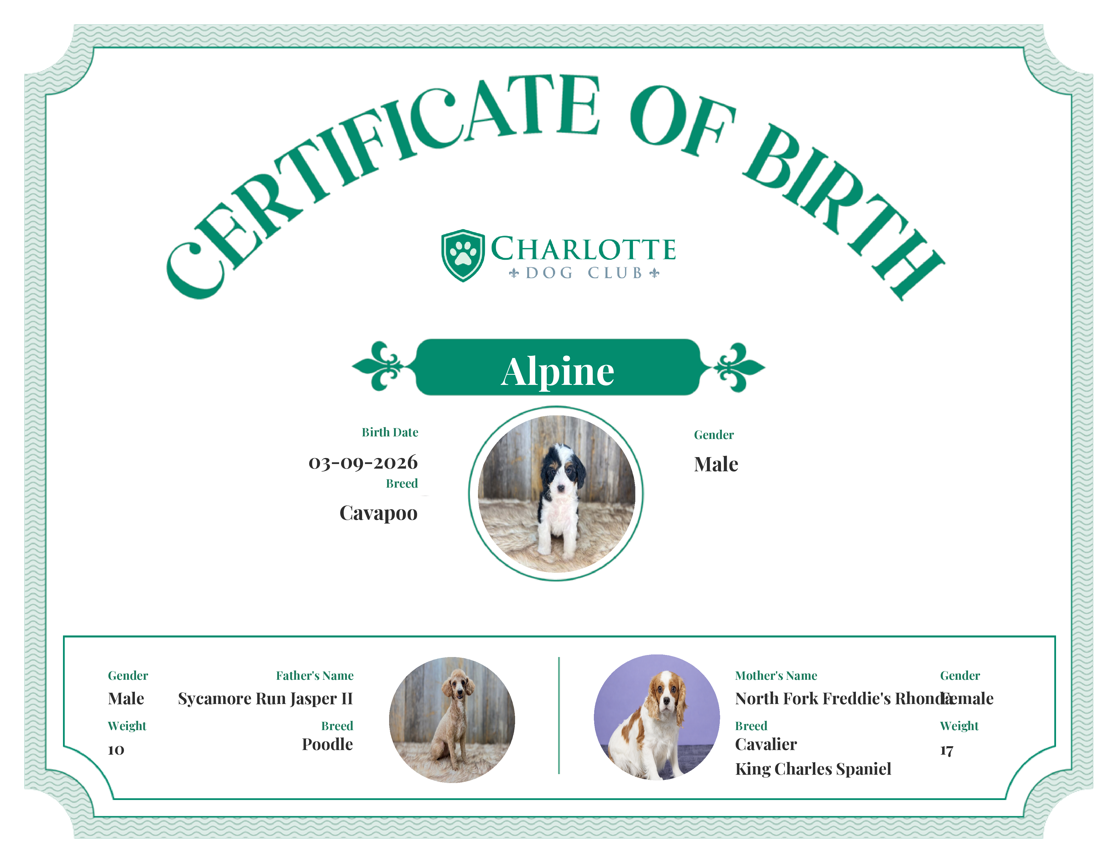 Alpine's Birth Certificate