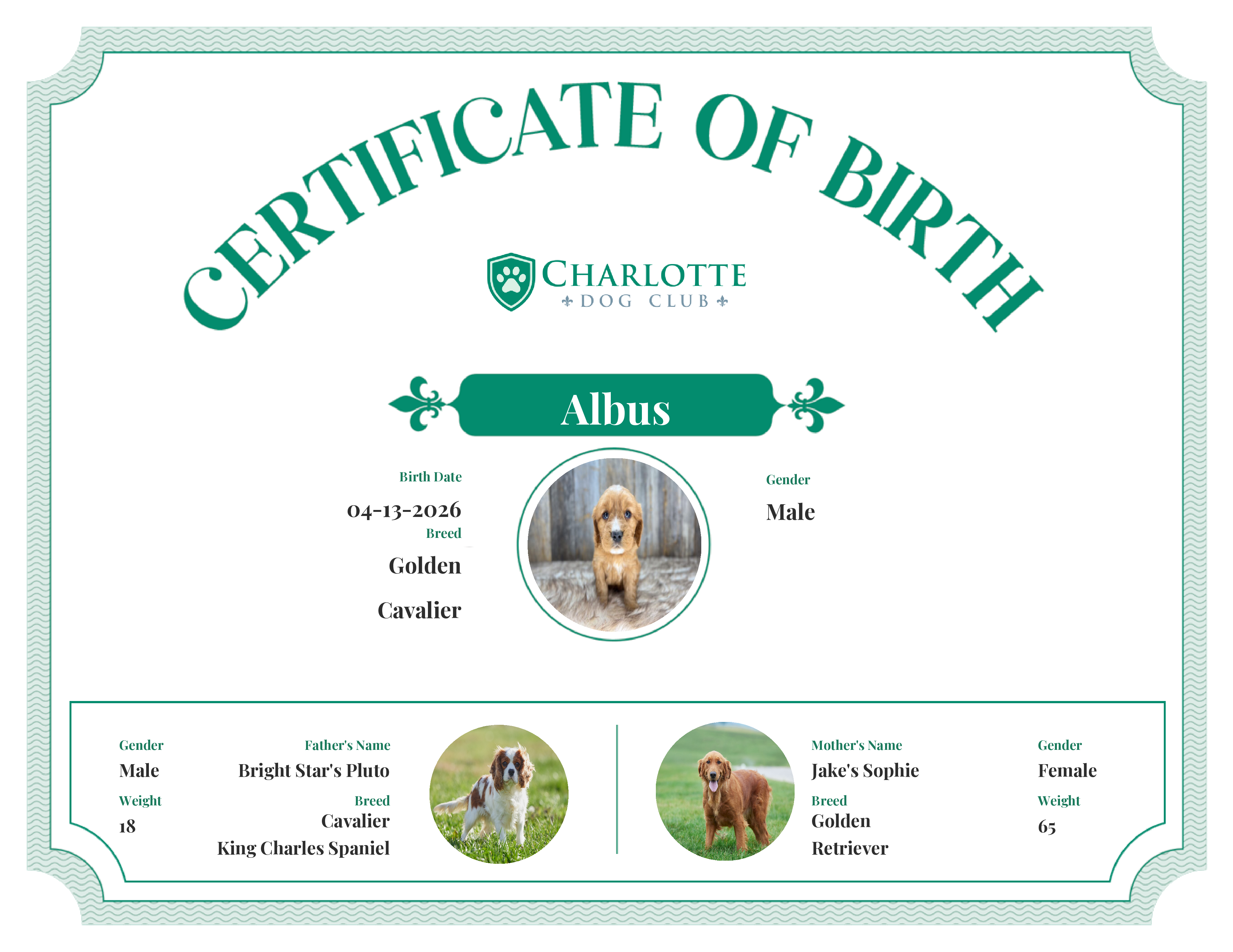 Albus's Birth Certificate