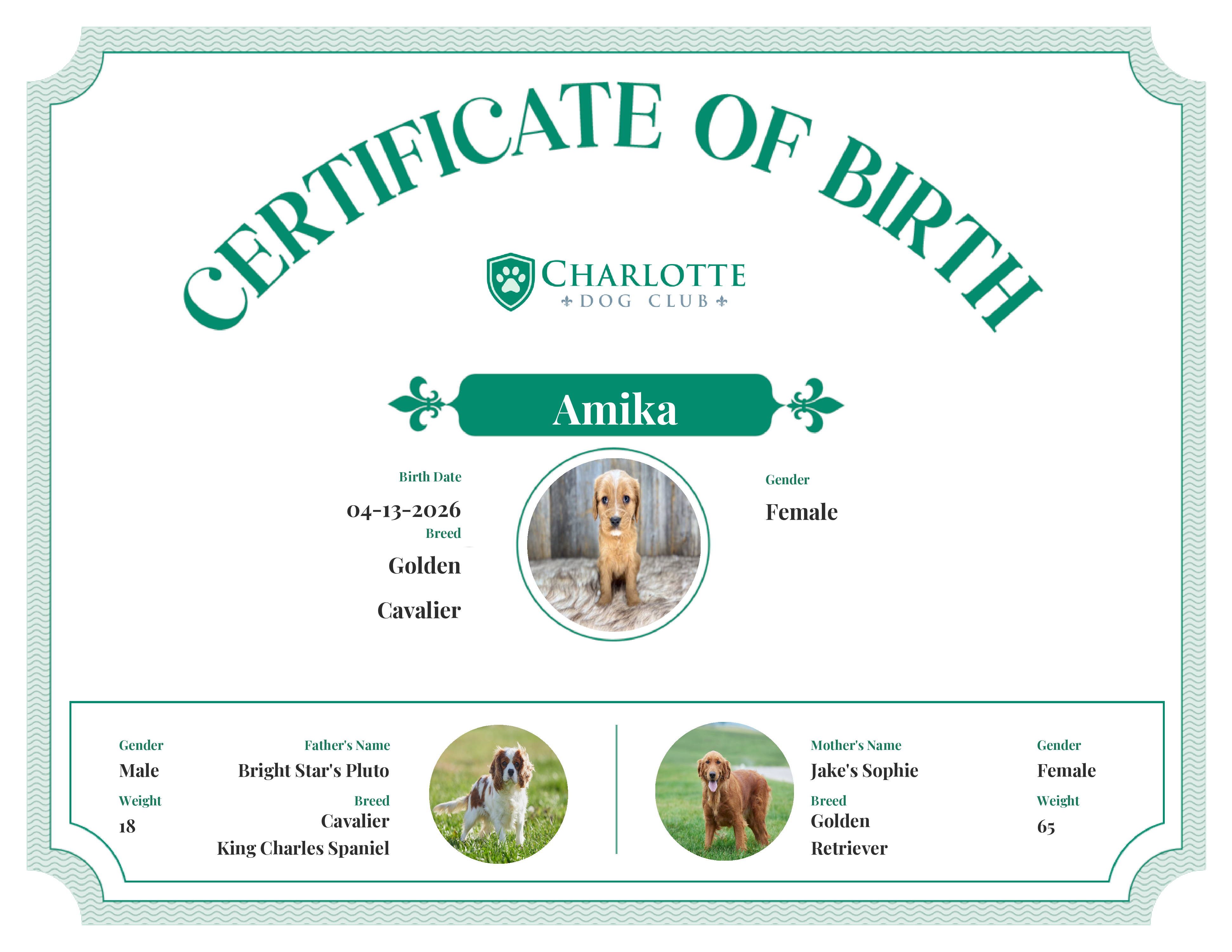 Amika's Birth Certificate