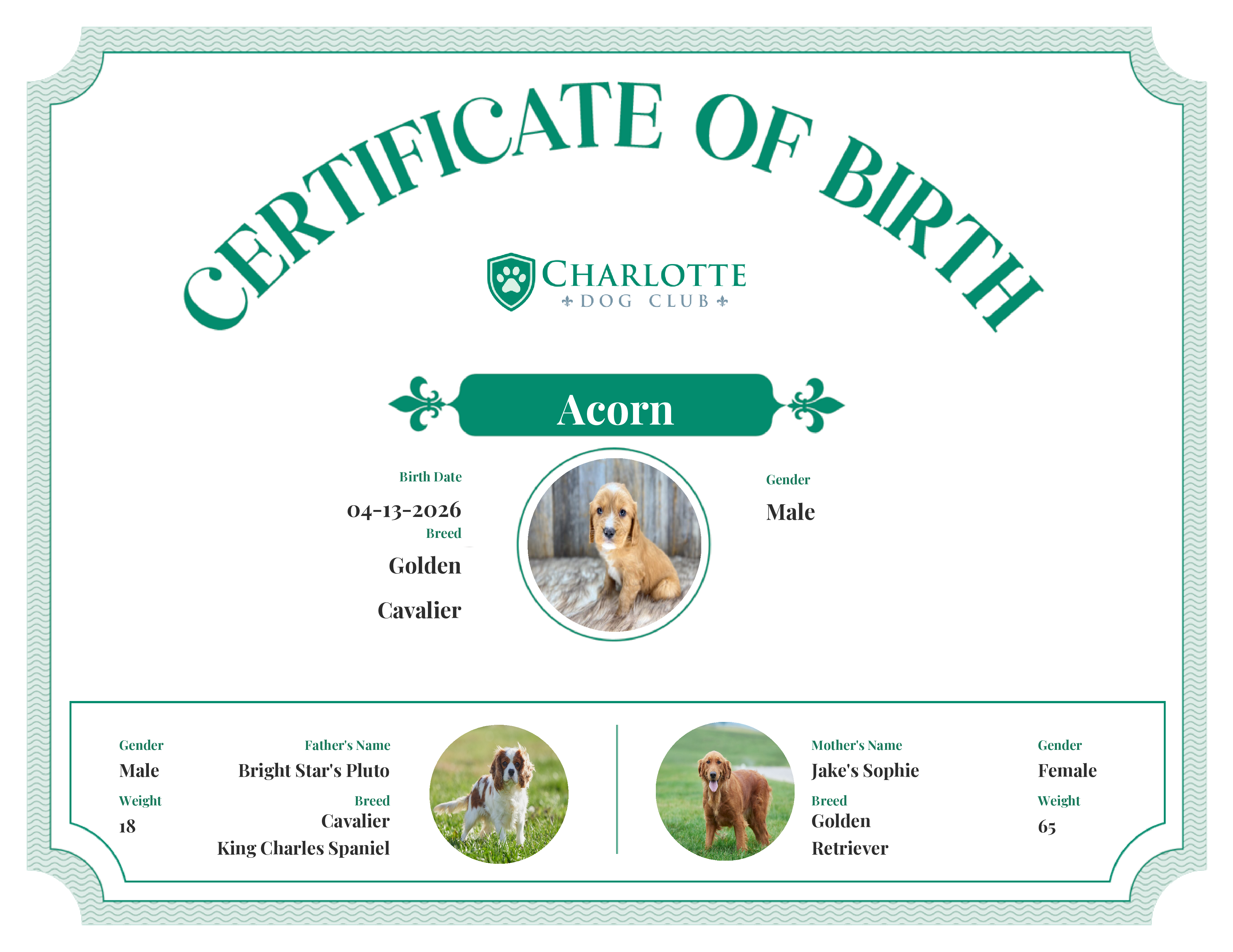 Acorn's Birth Certificate