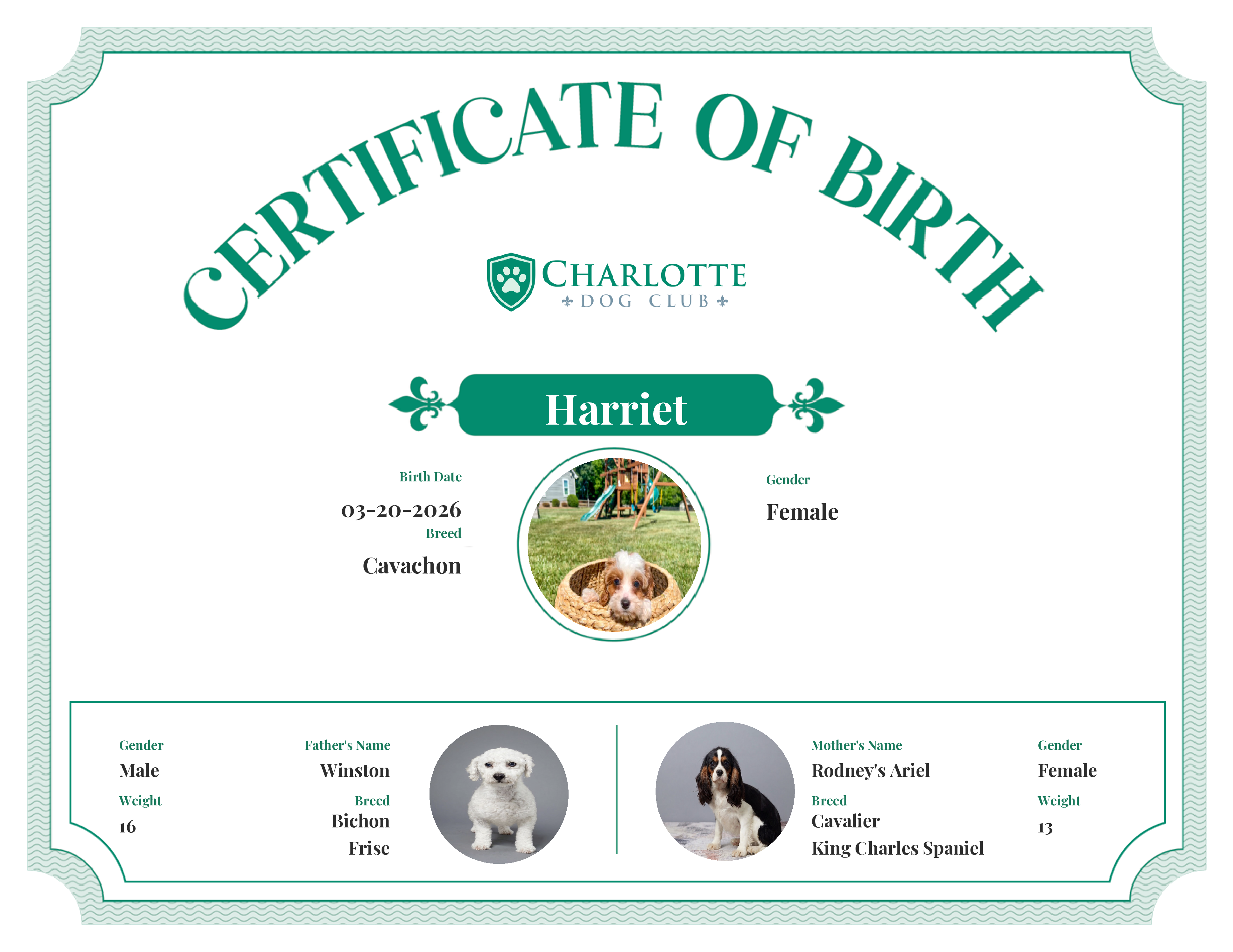 Harriet's Birth Certificate