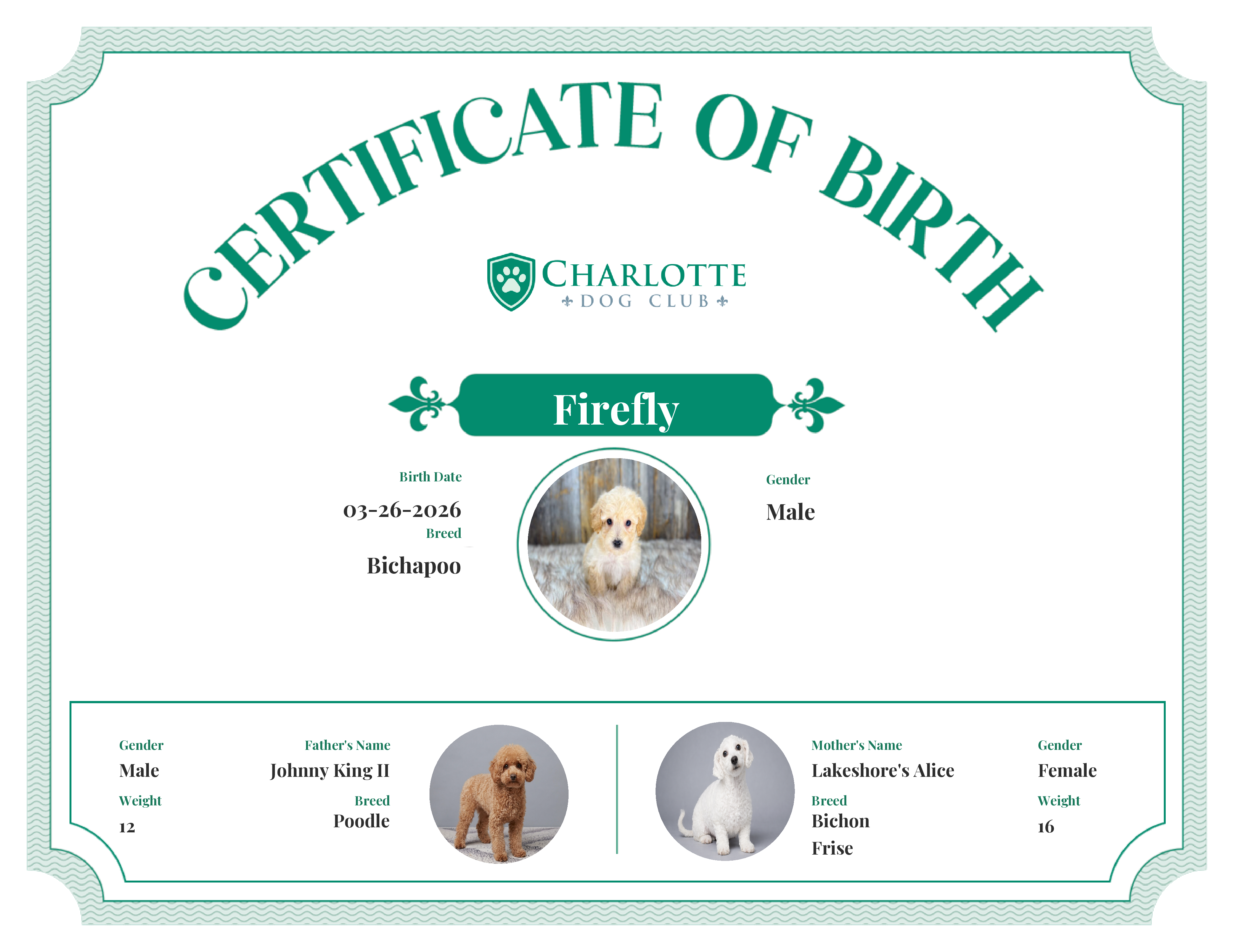 Firefly's Birth Certificate