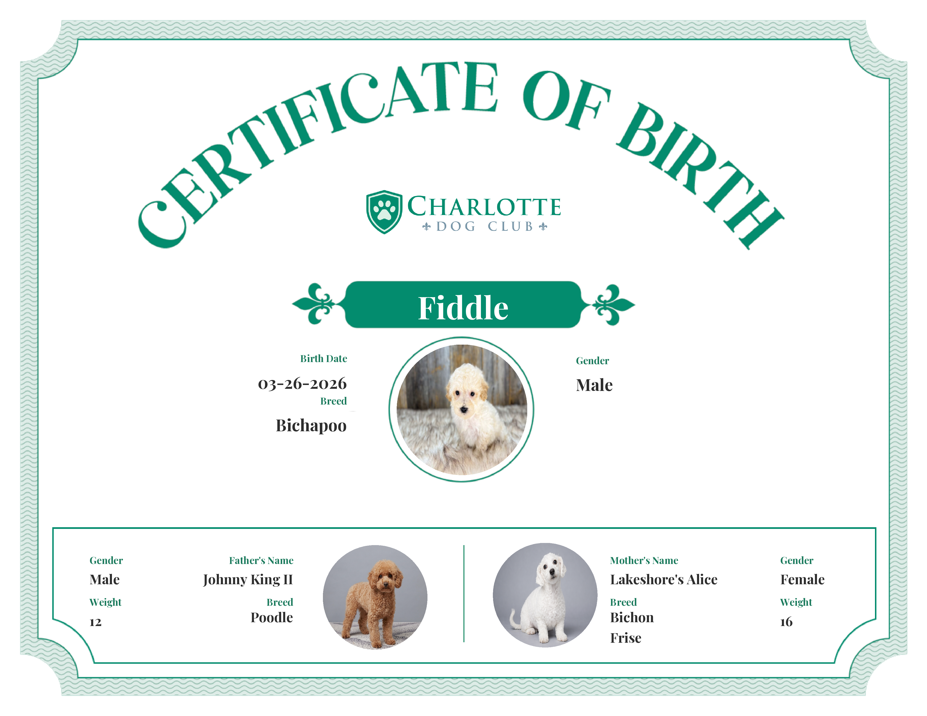 Fiddle's Birth Certificate