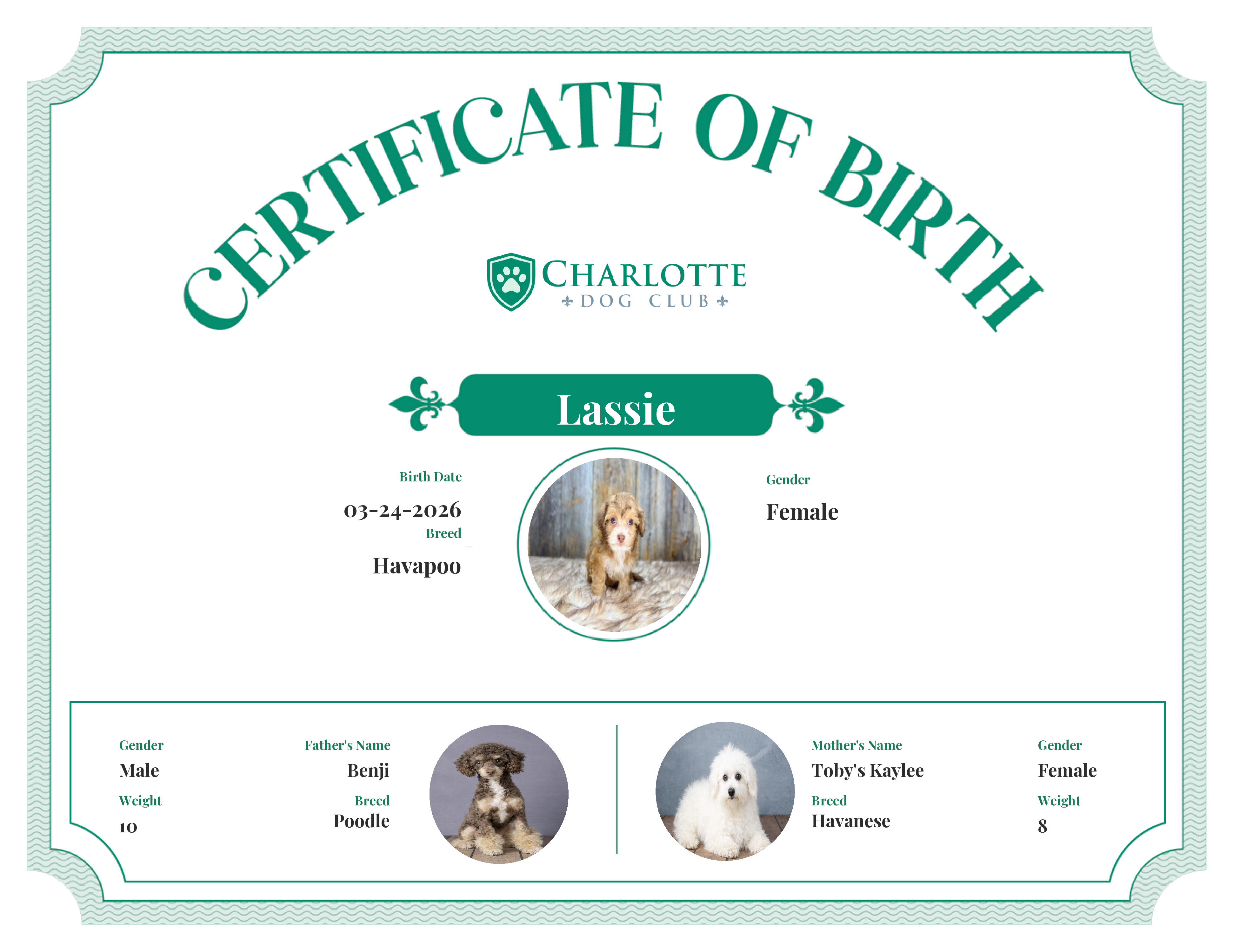 Lassie's Birth Certificate
