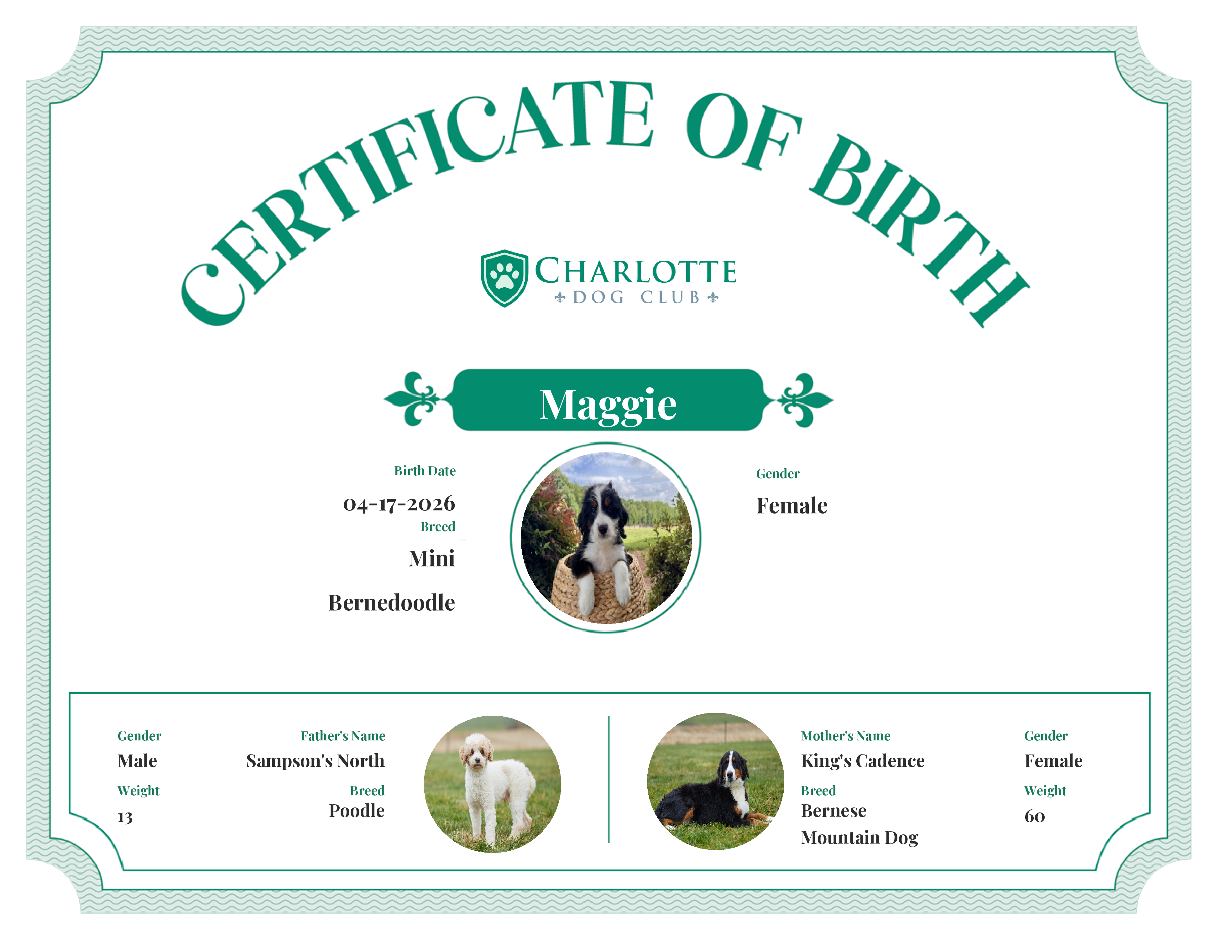 Misty's Birth Certificate