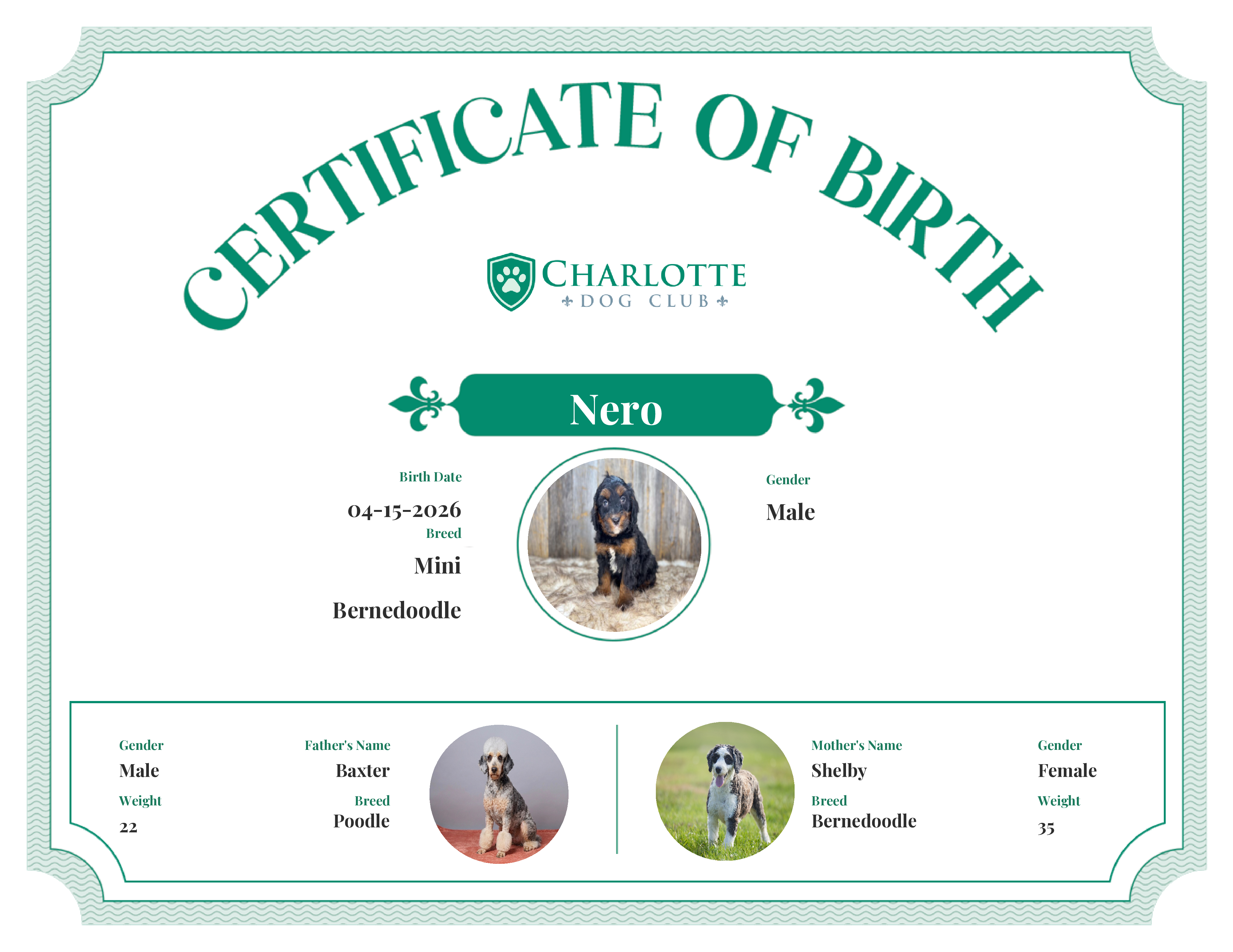 Nero's Birth Certificate