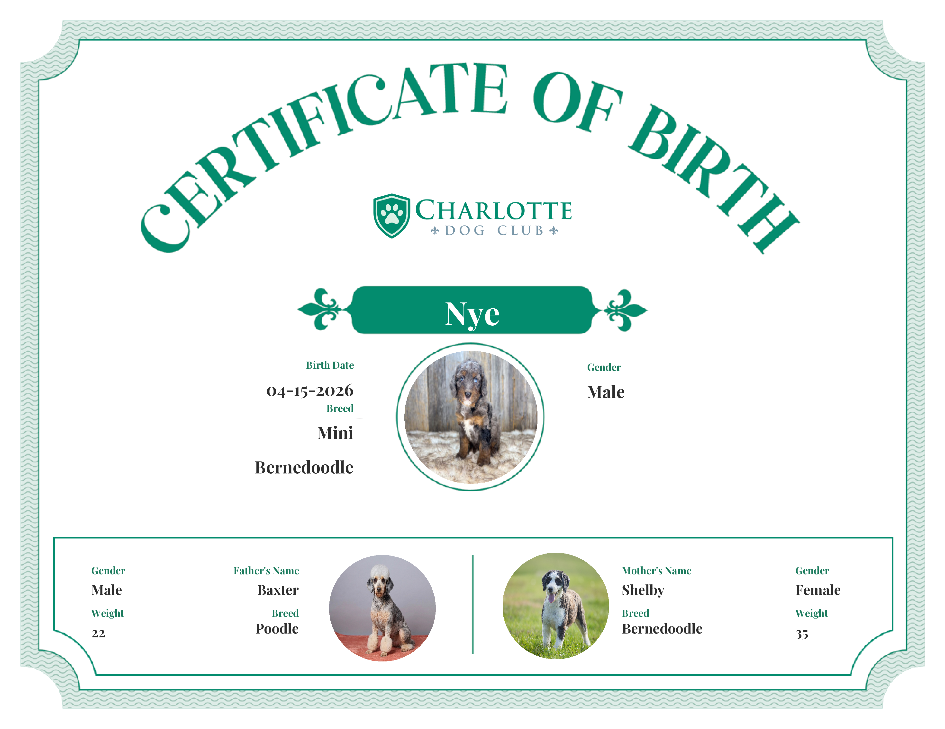 Nye's Birth Certificate