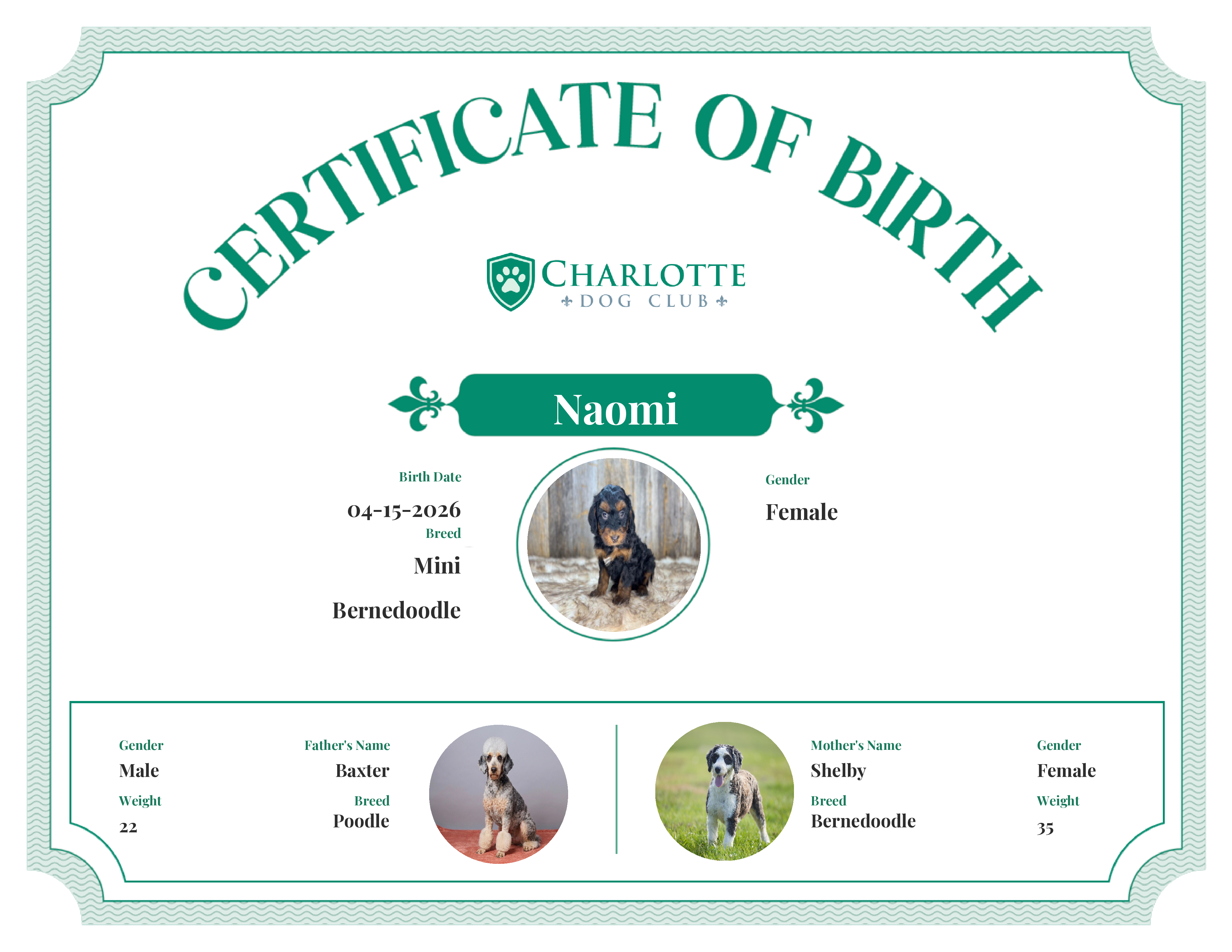 Naomi's Birth Certificate
