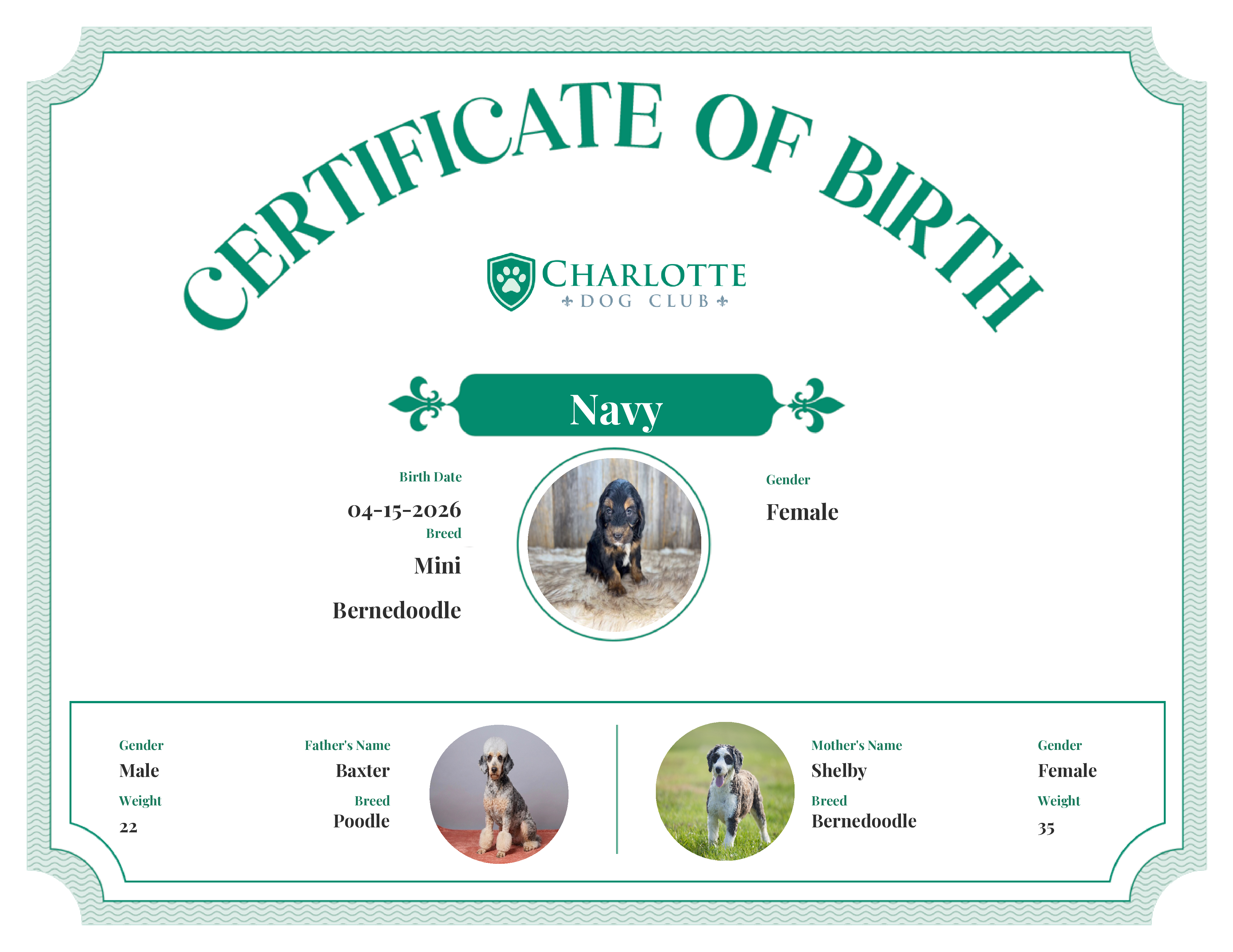 Navy's Birth Certificate