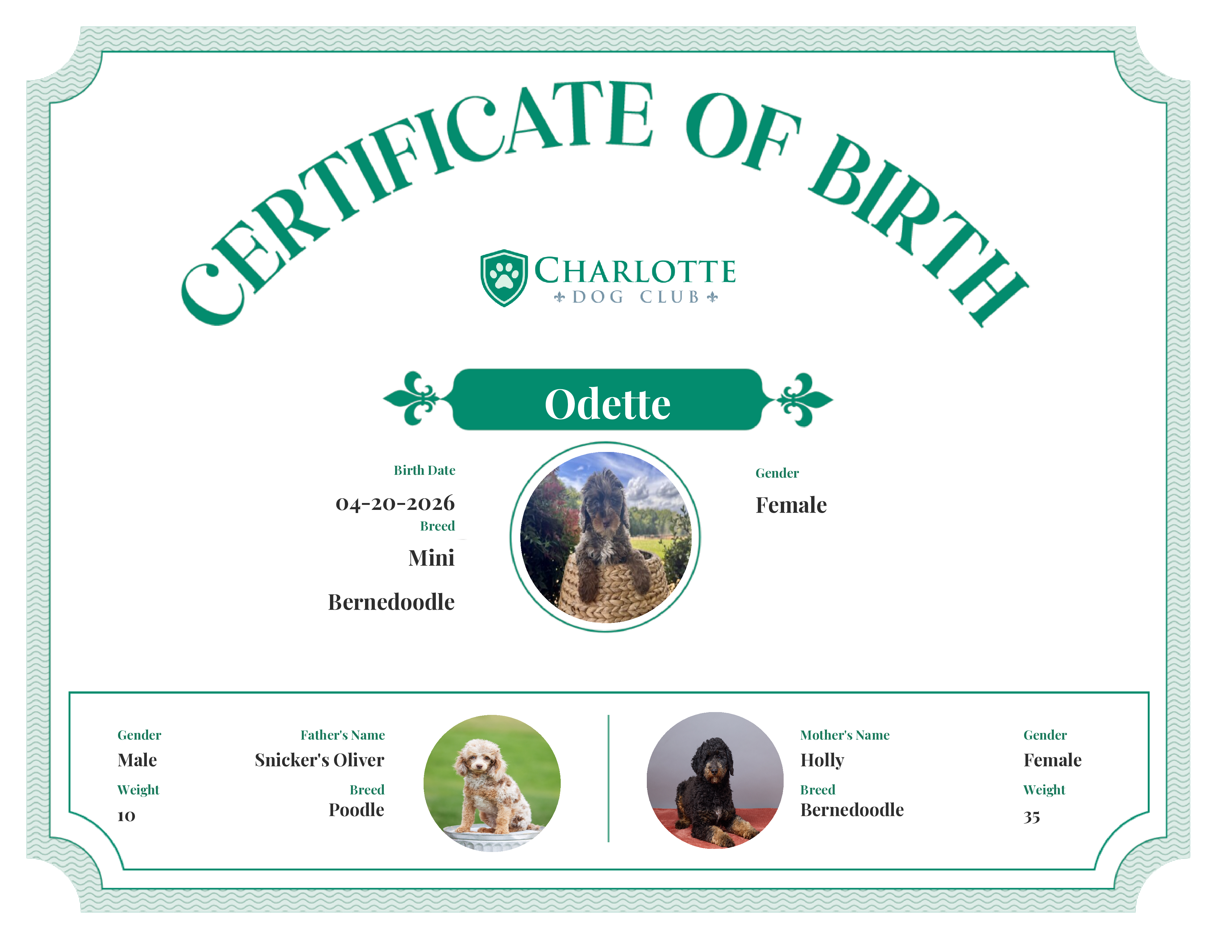 Odette's Birth Certificate