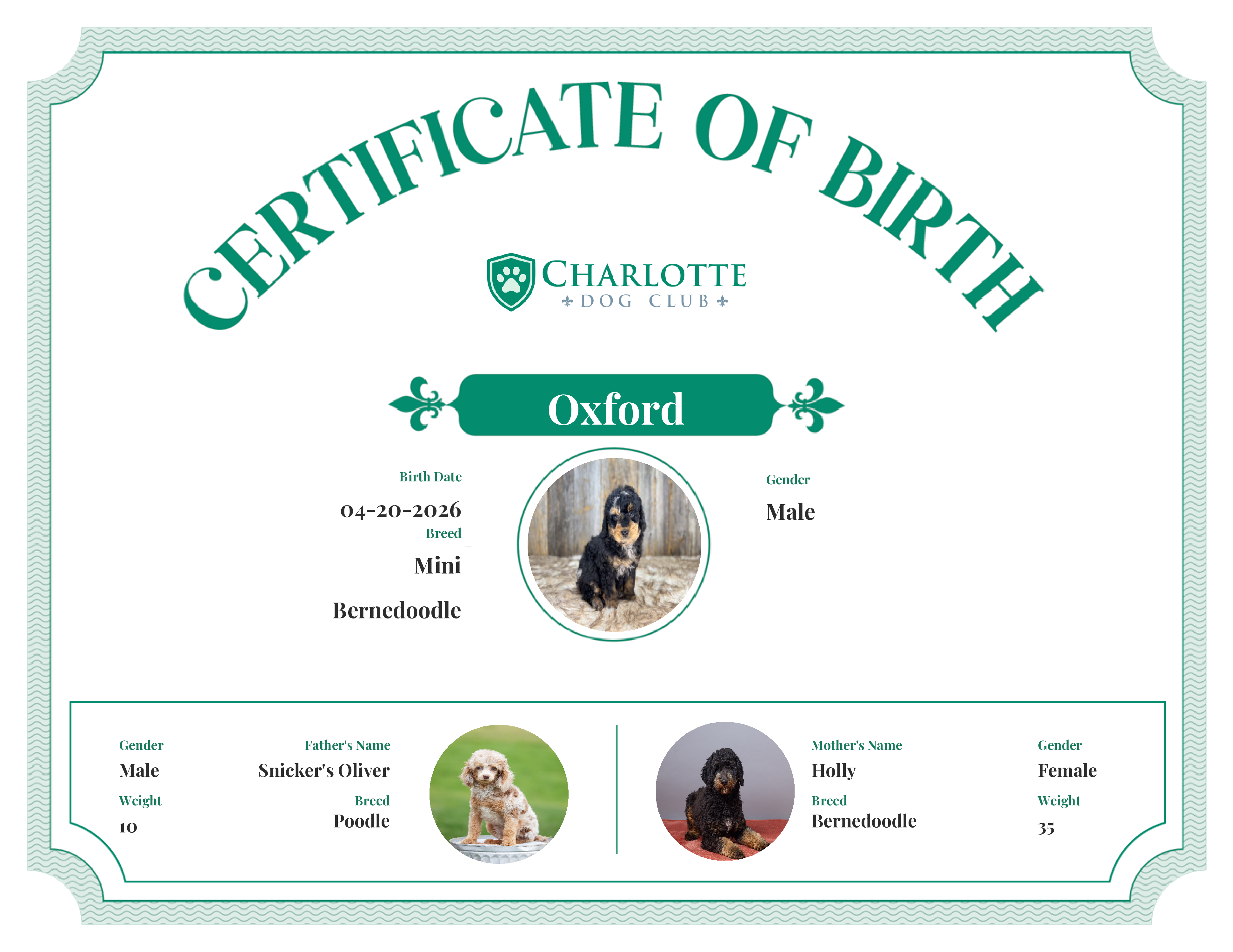 Oxford's Birth Certificate