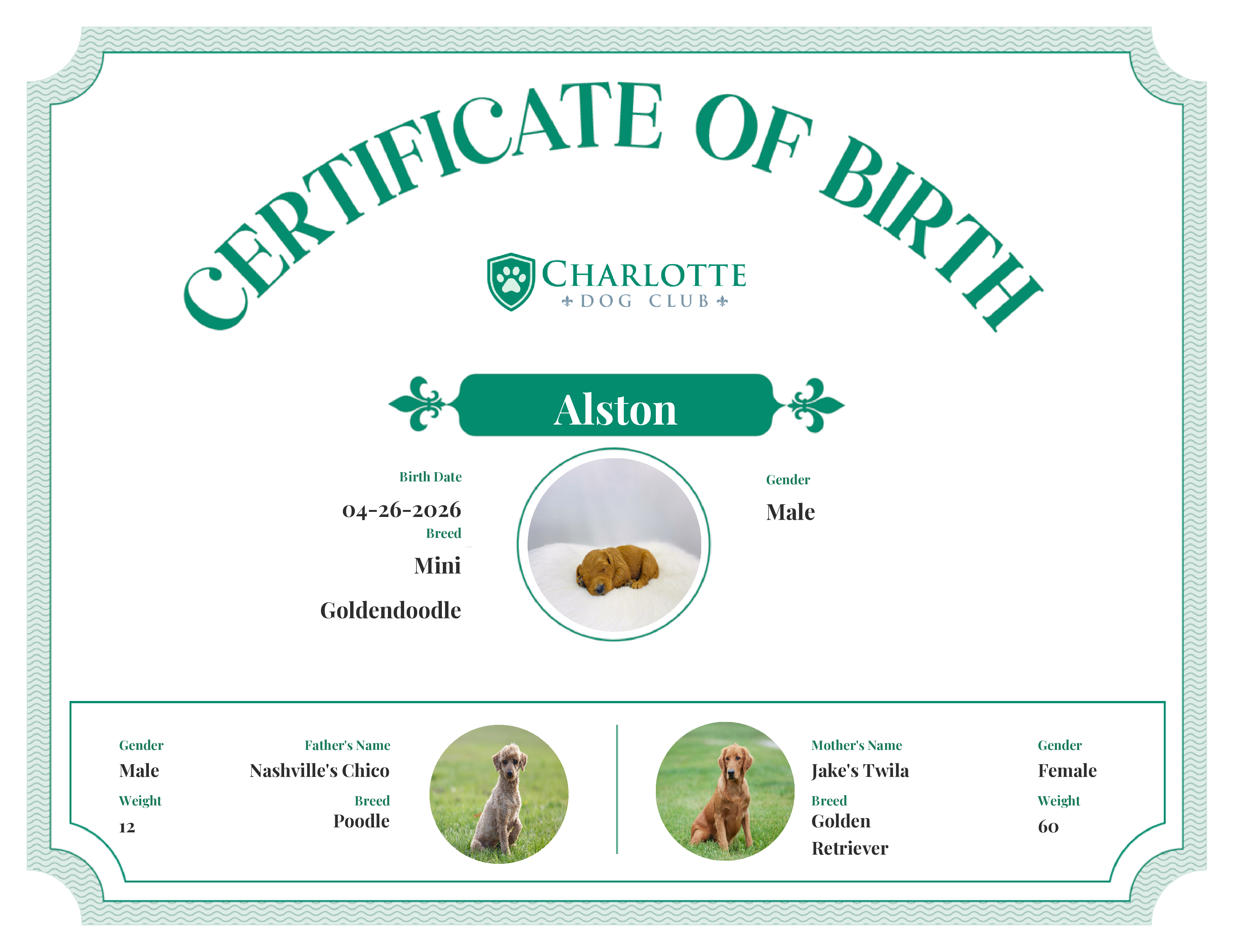 Alston's Birth Certificate