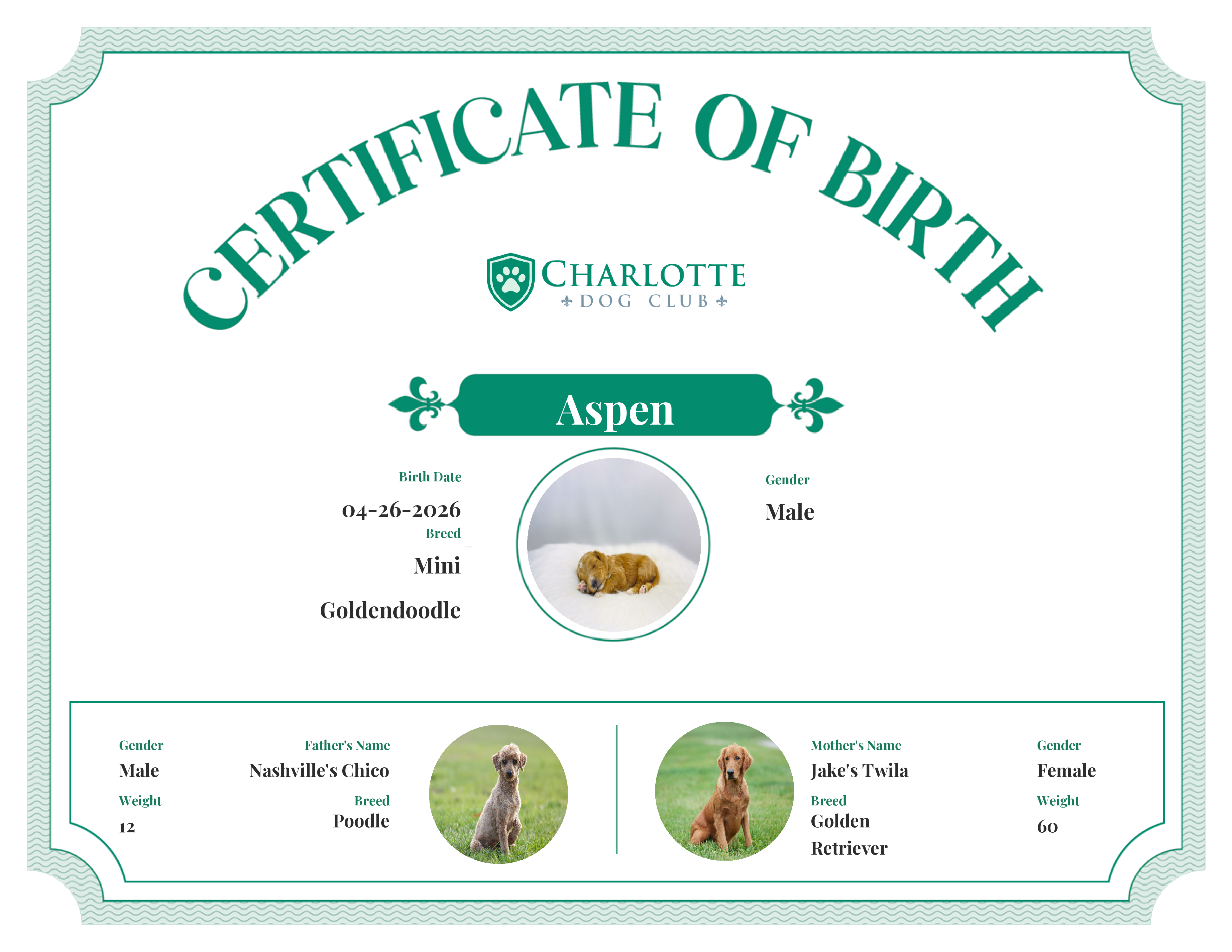 Aspen's Birth Certificate
