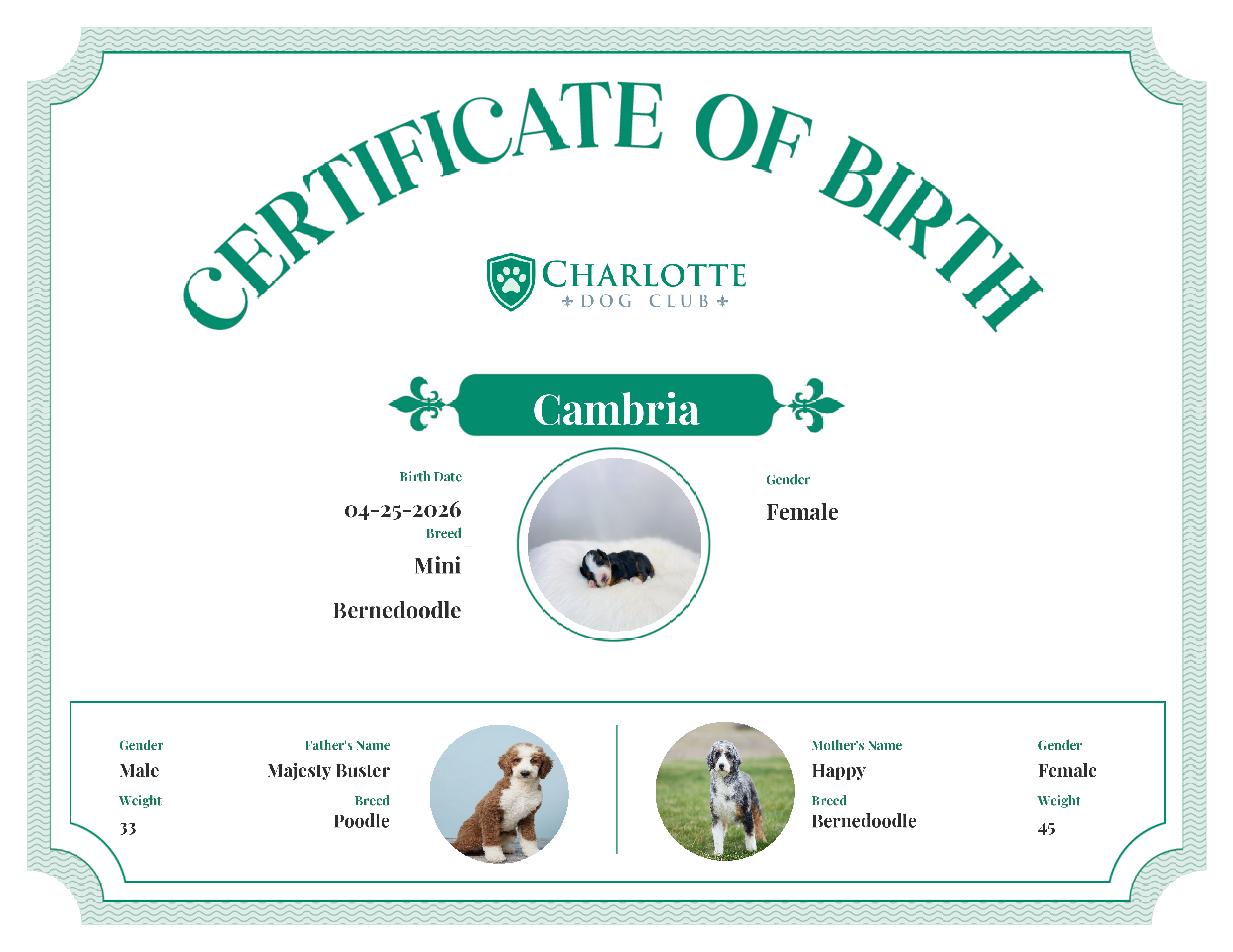 Cambria's Birth Certificate