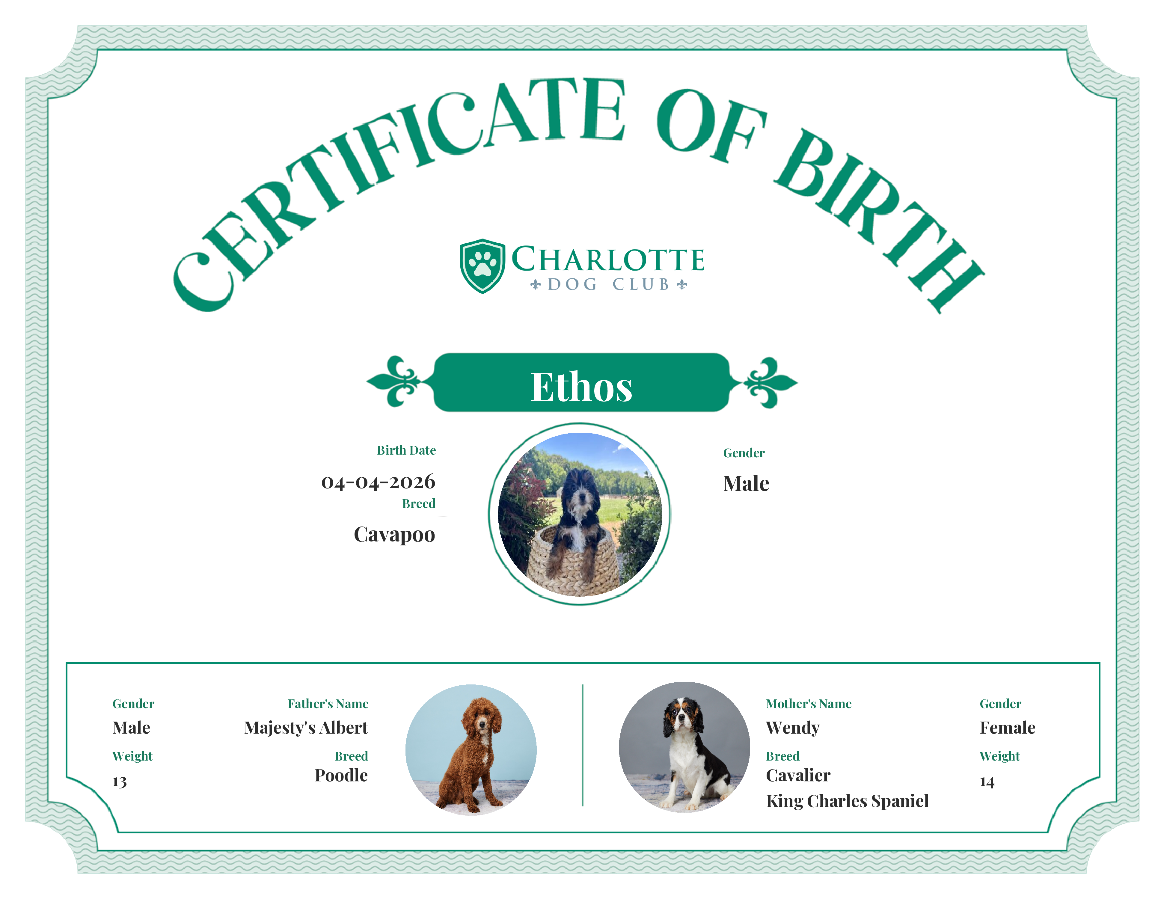 Ethos's Birth Certificate