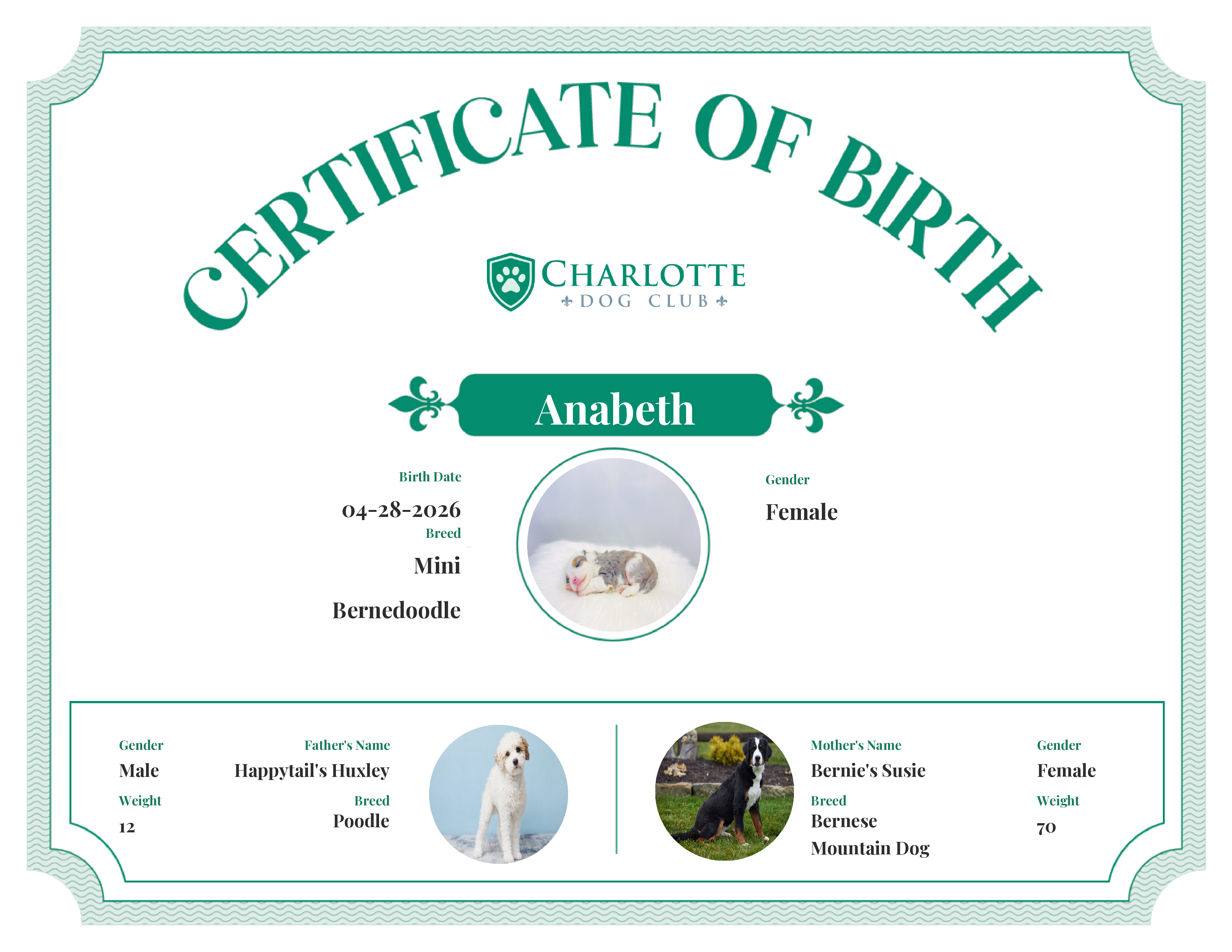 Anabeth's Birth Certificate